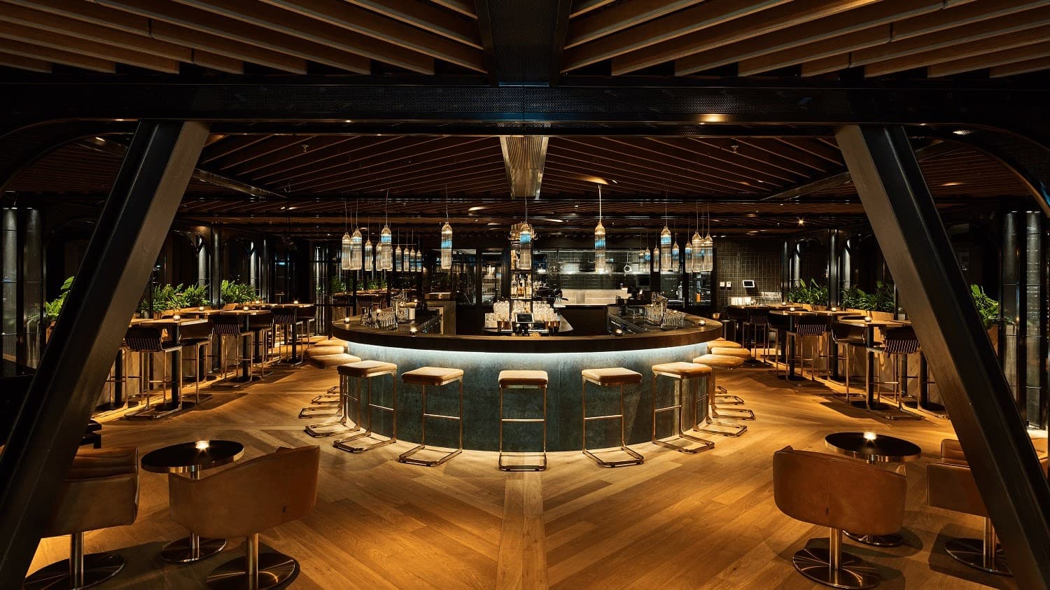 Juniper & Kin - Image 1