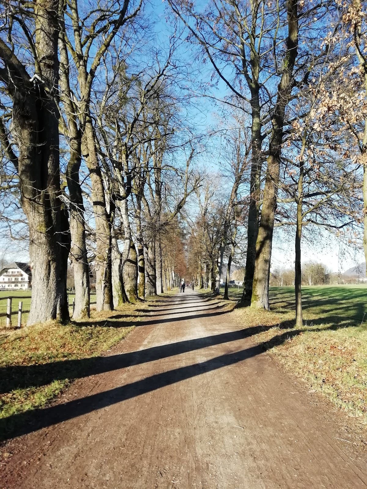 Hellbrunner Allee - Image 1