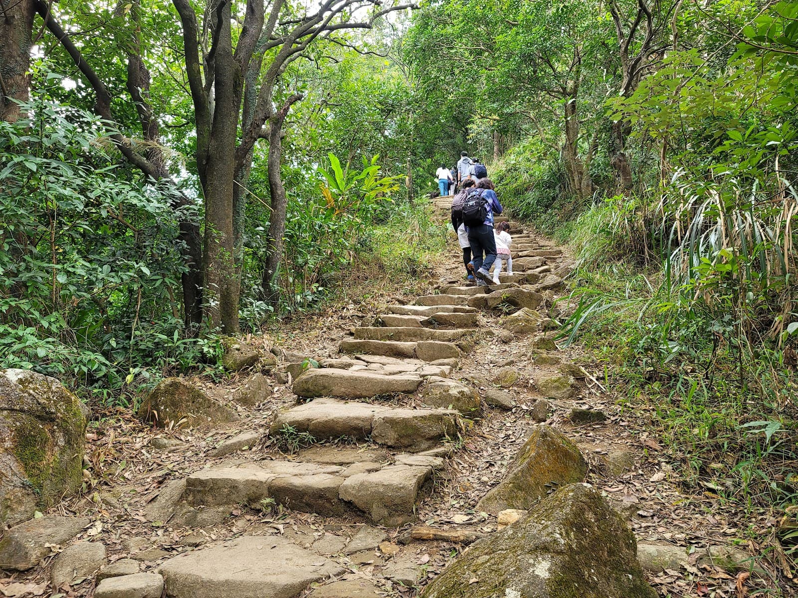 Ma On Shan Country Trail - Image 1