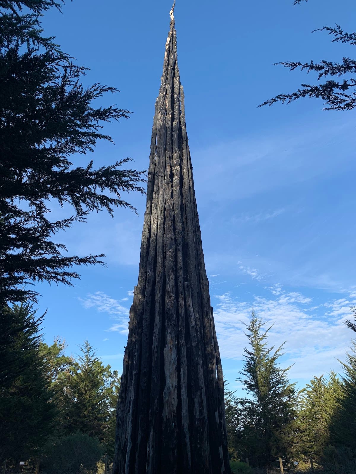 Spire (Andy Goldsworthy) San Francisco - Image 1