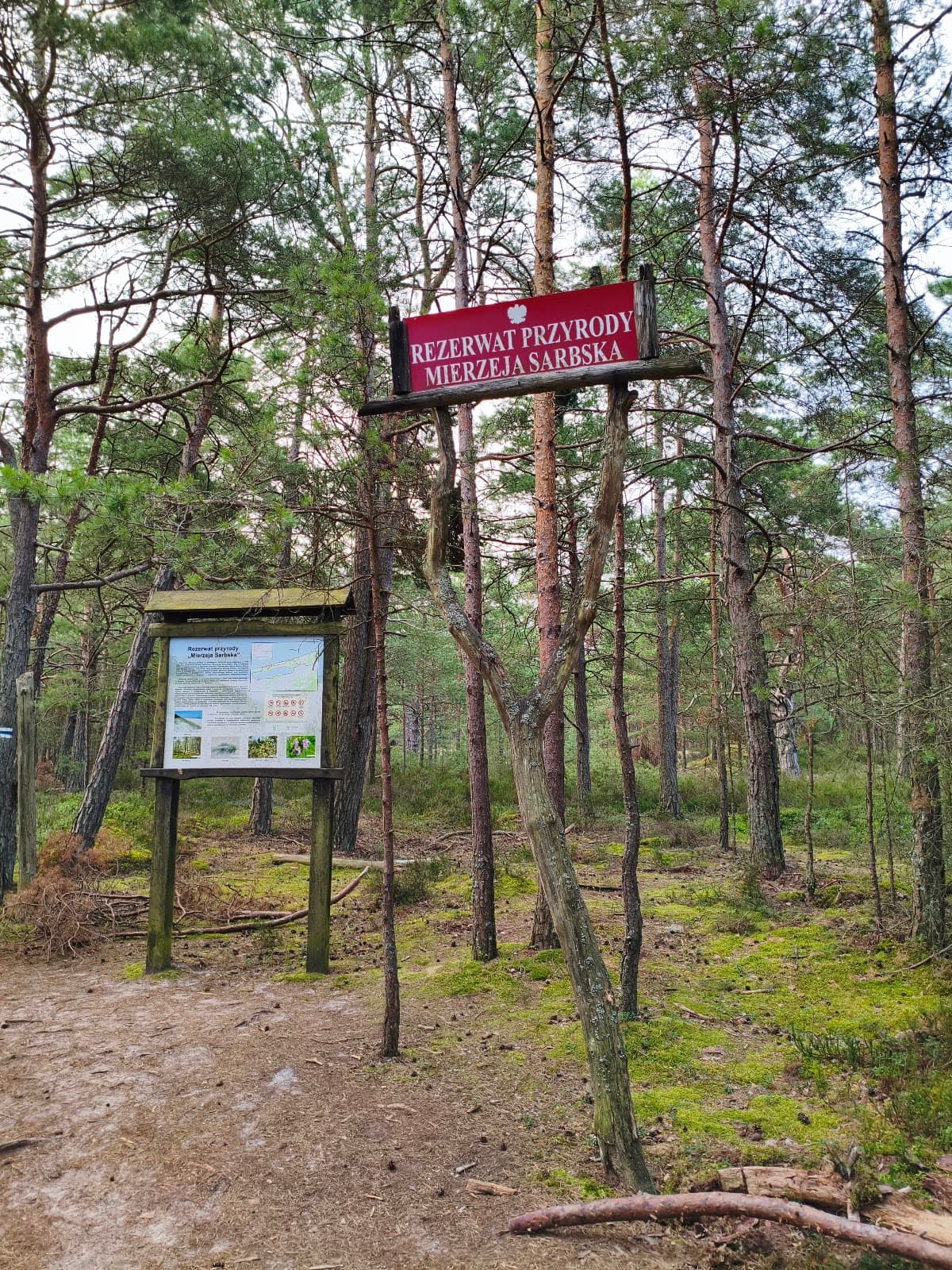 Mierzeja Sarbska Nature Reserve - Image 1