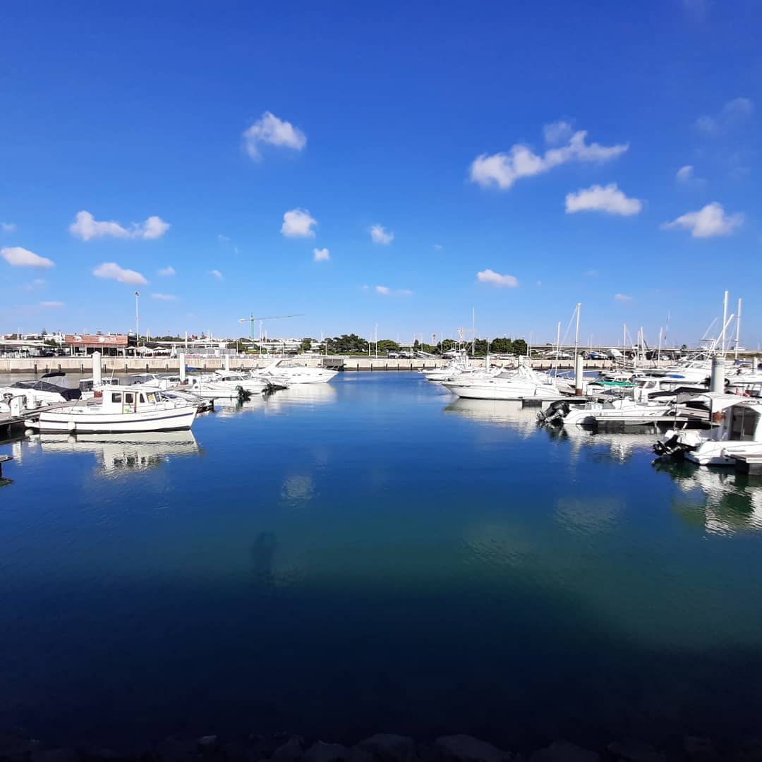 Boat Tours and Cruises