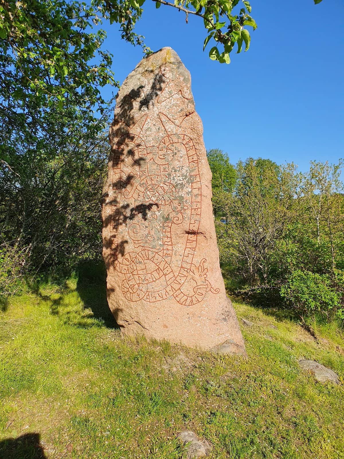 Viking Burial Field