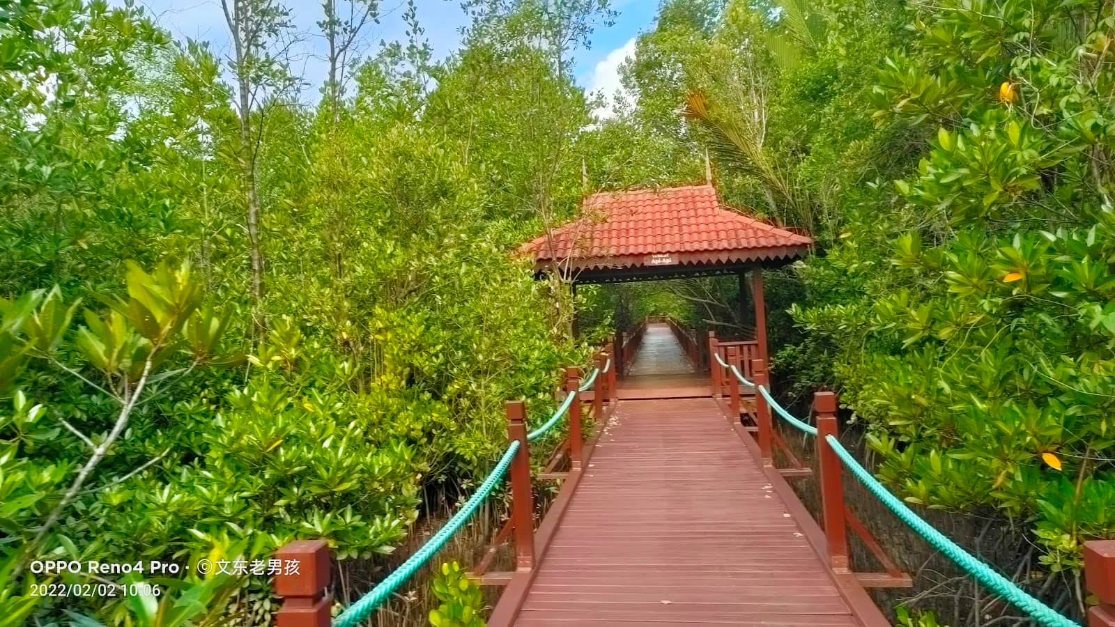 Gallery House Insights