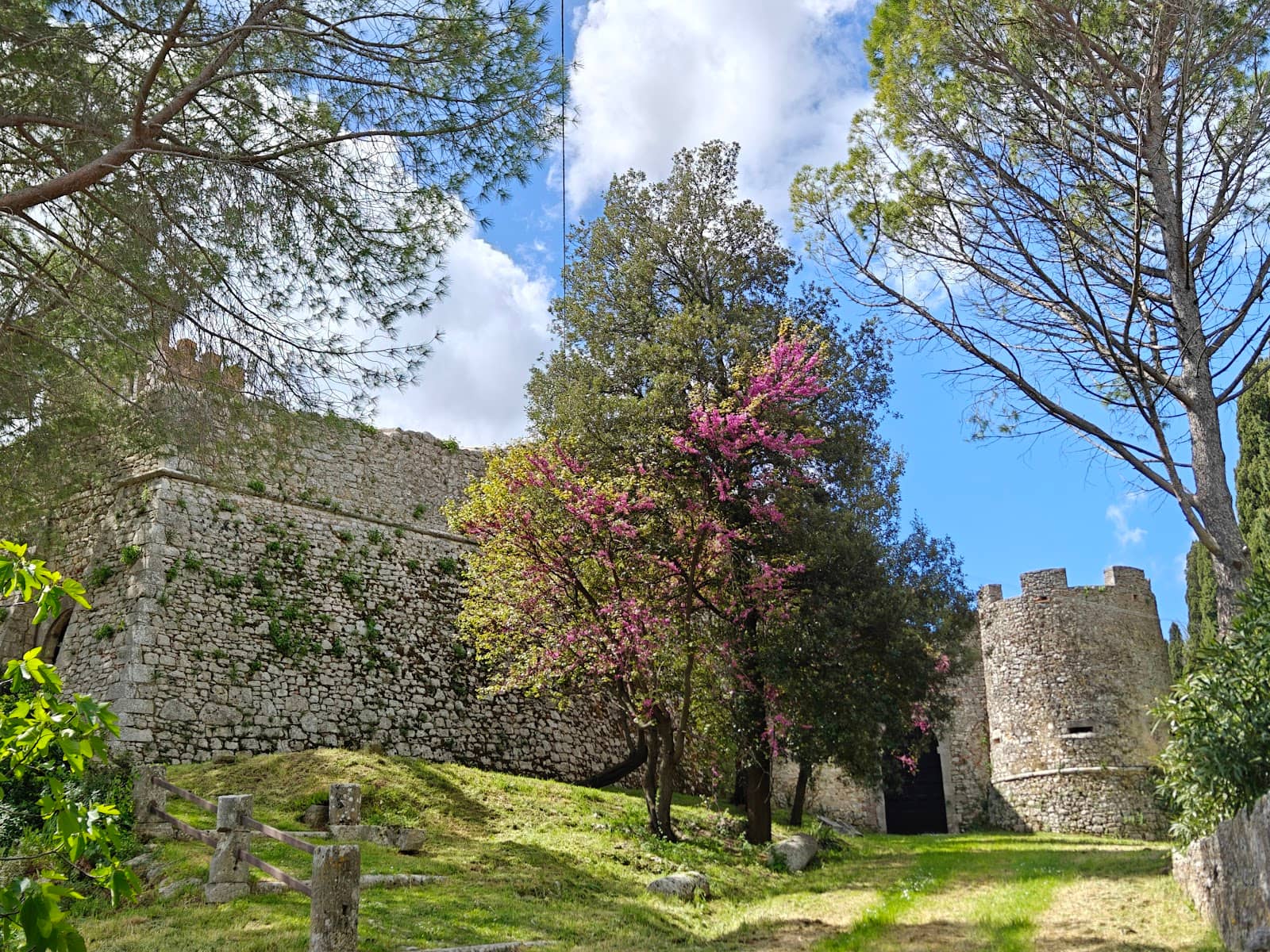 Cobbled Streets & Medieval Charm