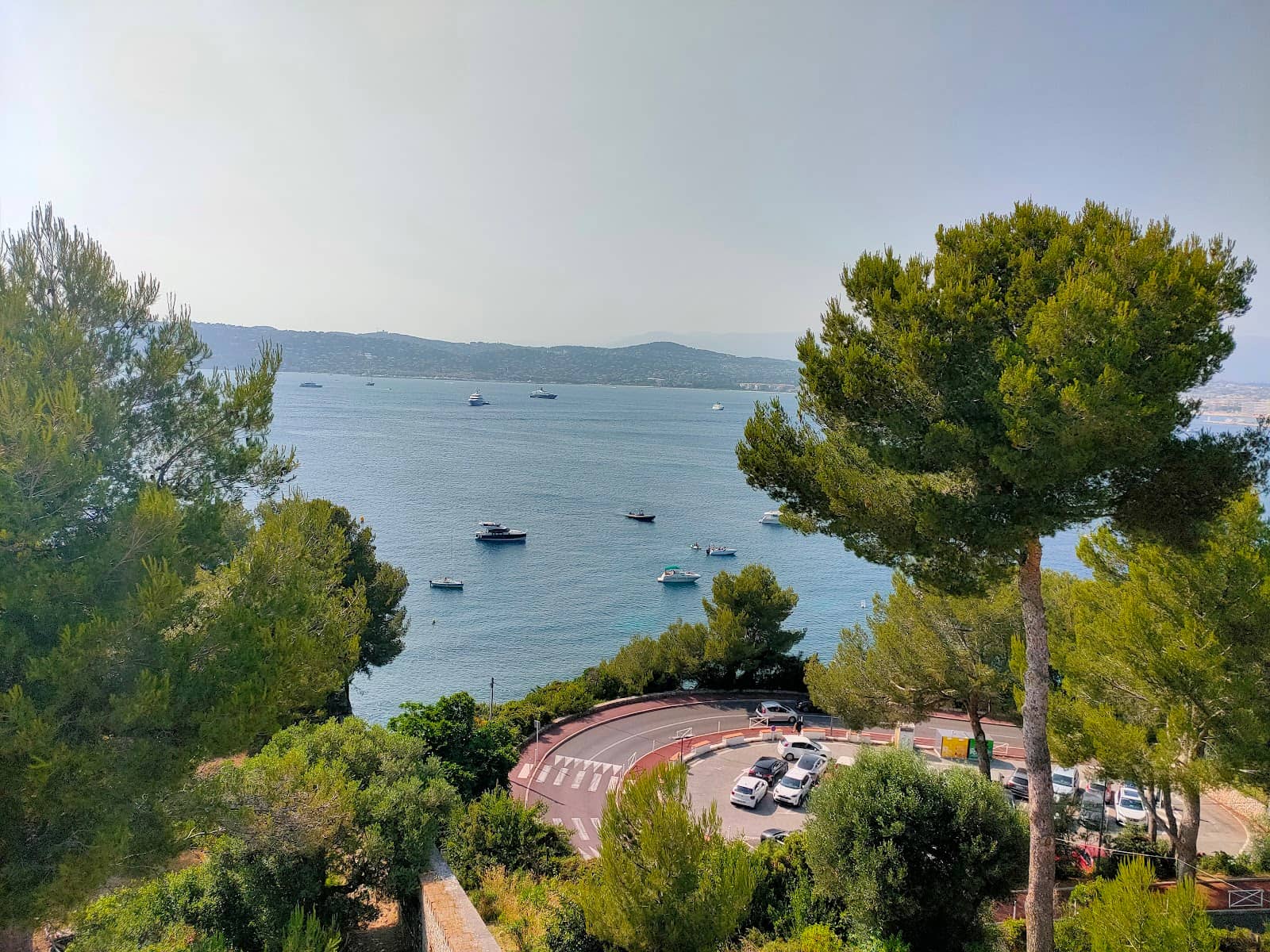 Botanical Garden Walk