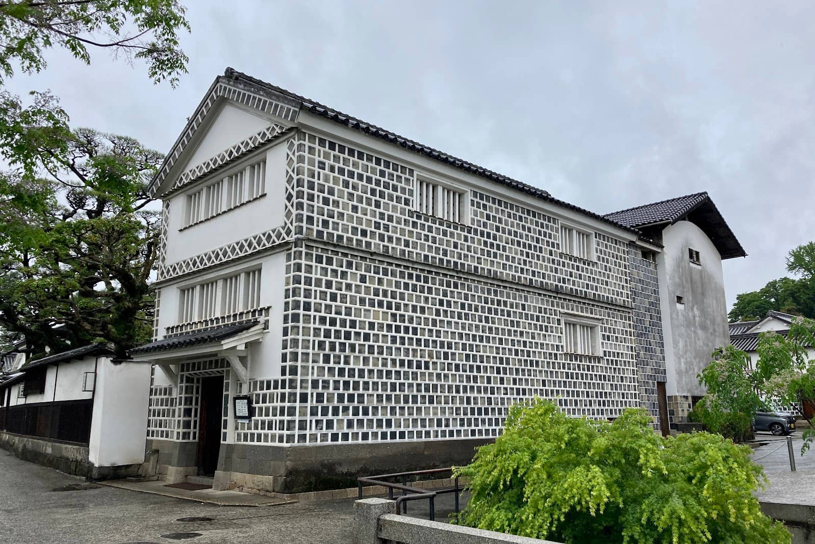 Naumann's Elephant Teeth