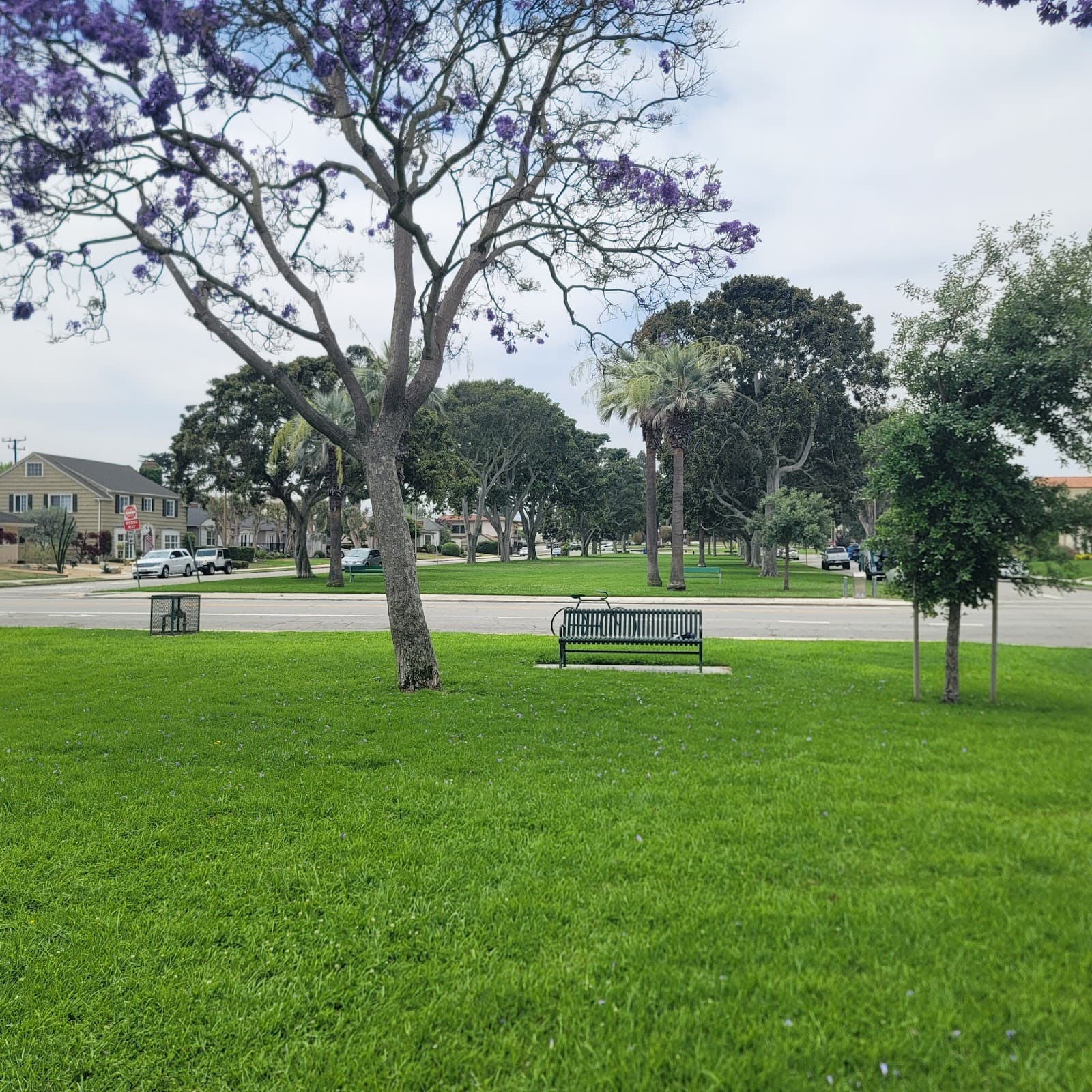 El Prado Park - Image 1