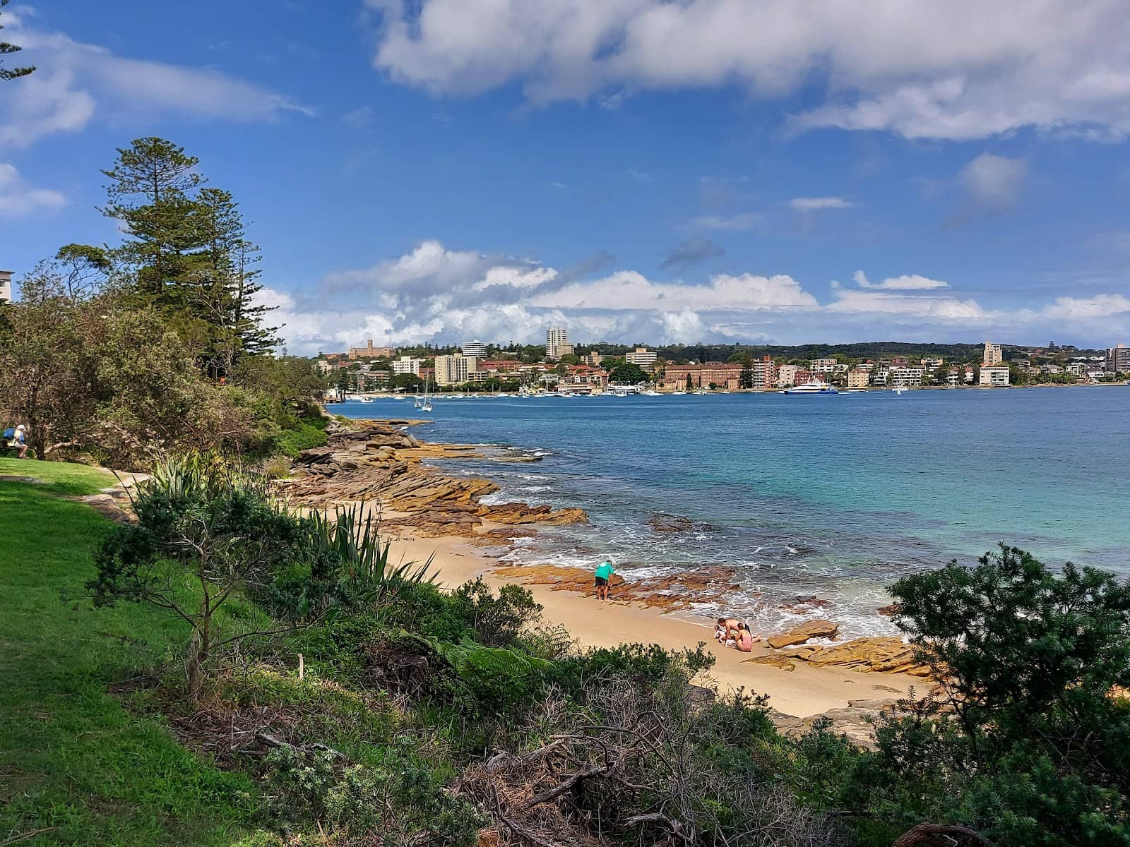 Fairy Penguin Colony