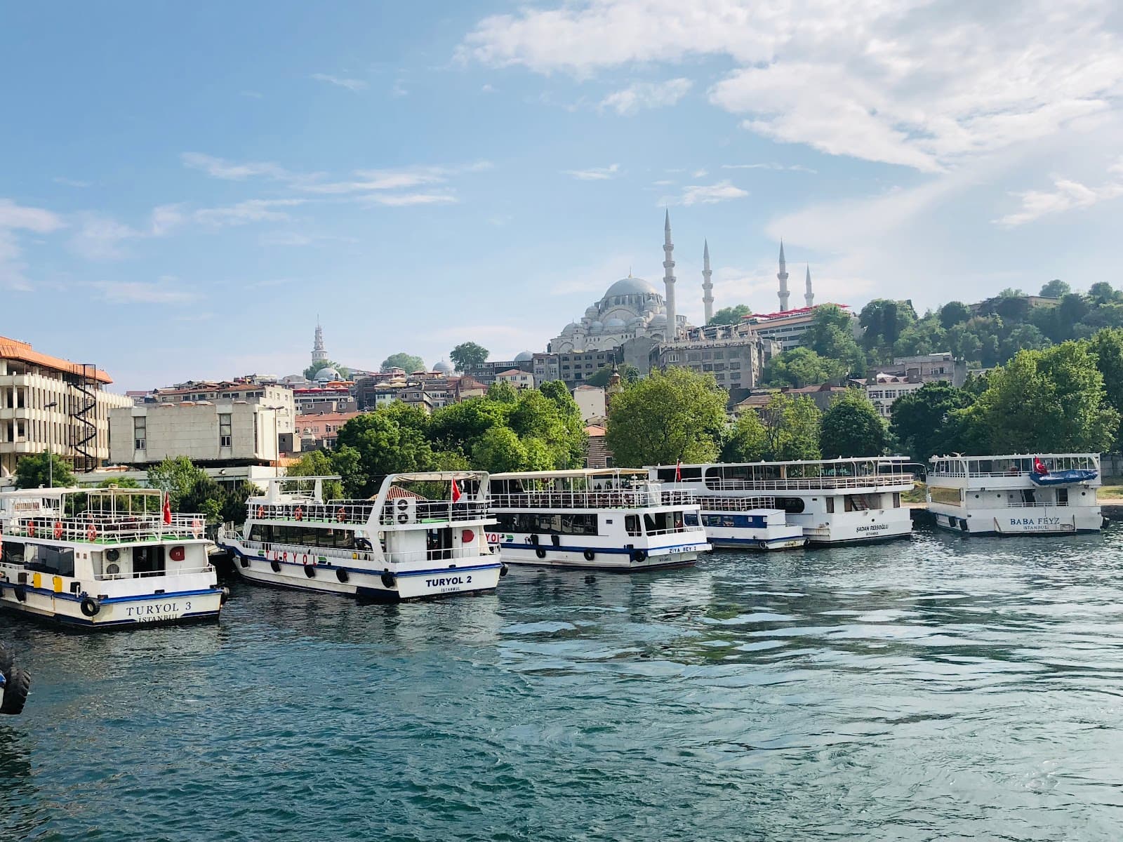Bosphorus Ferry - Image 1