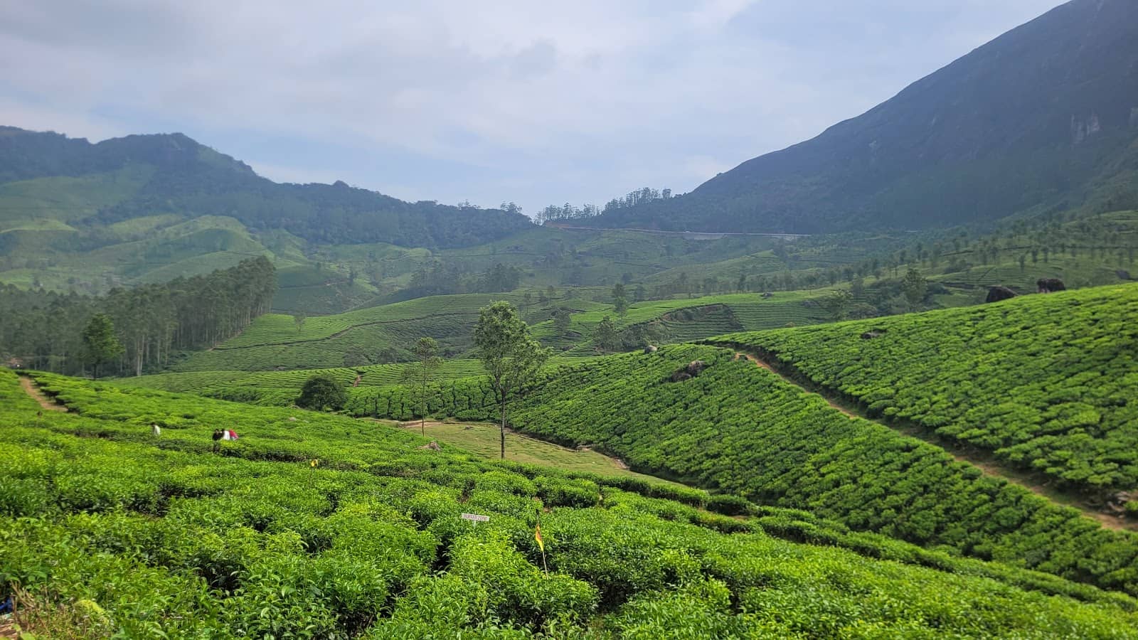 Scenic Gap Road Drive