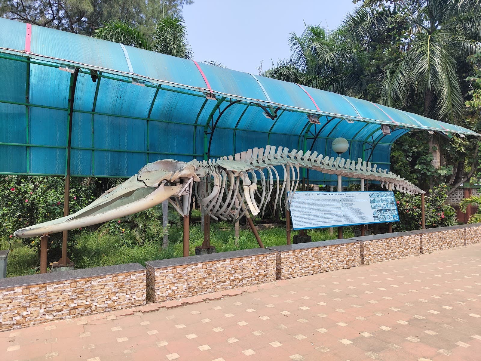 Digha Marine Aquarium & Regional Centre - Image 1