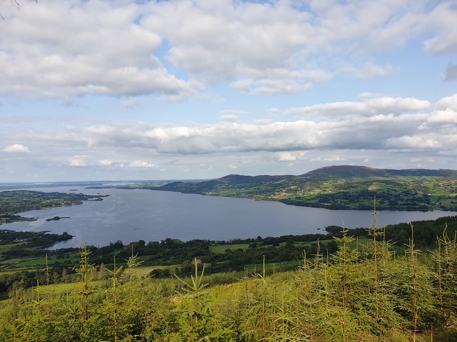 Moylussa and Ballycuggaran Forest - Image 1