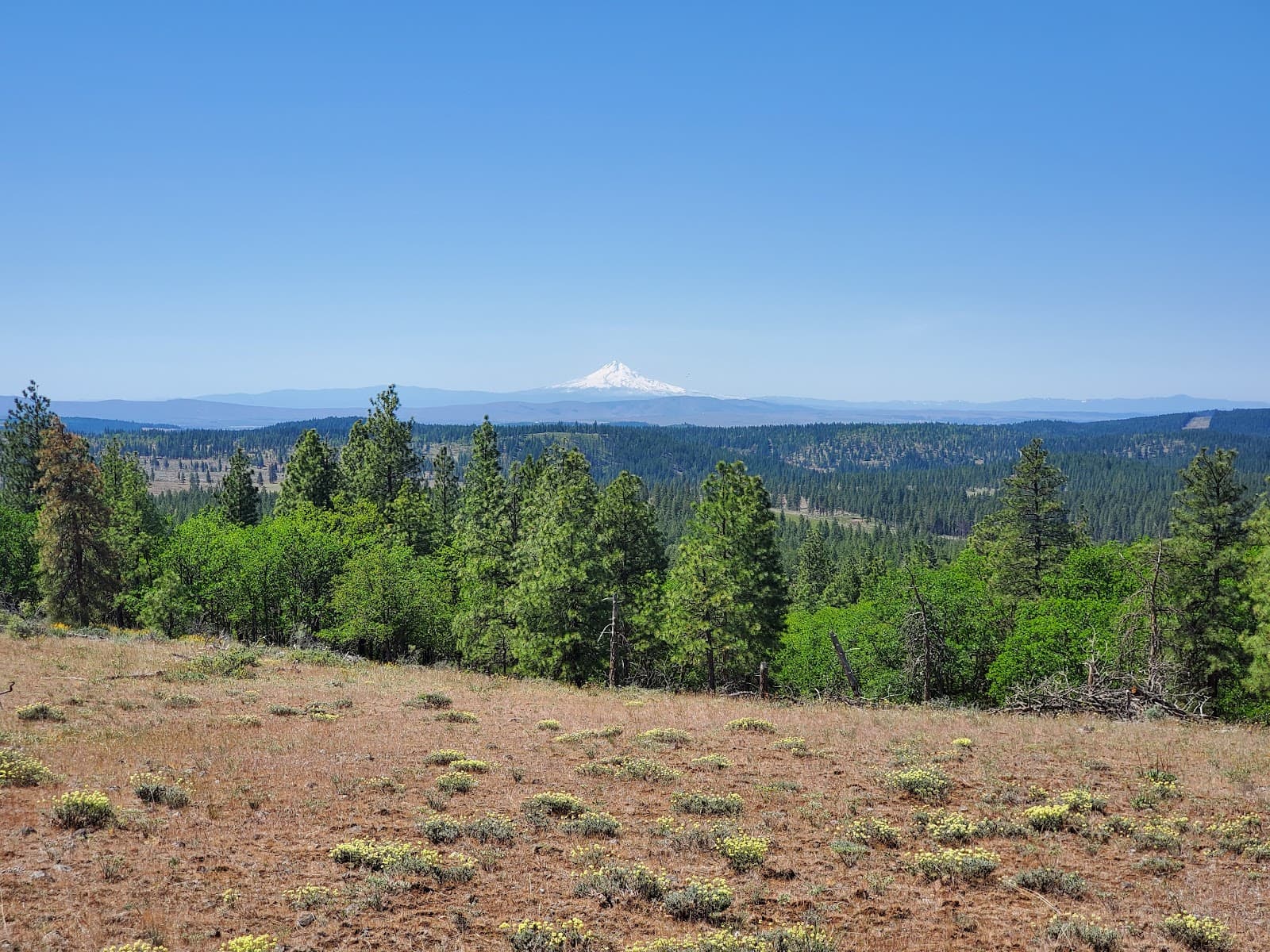 Brooks Memorial State Park - Image 1