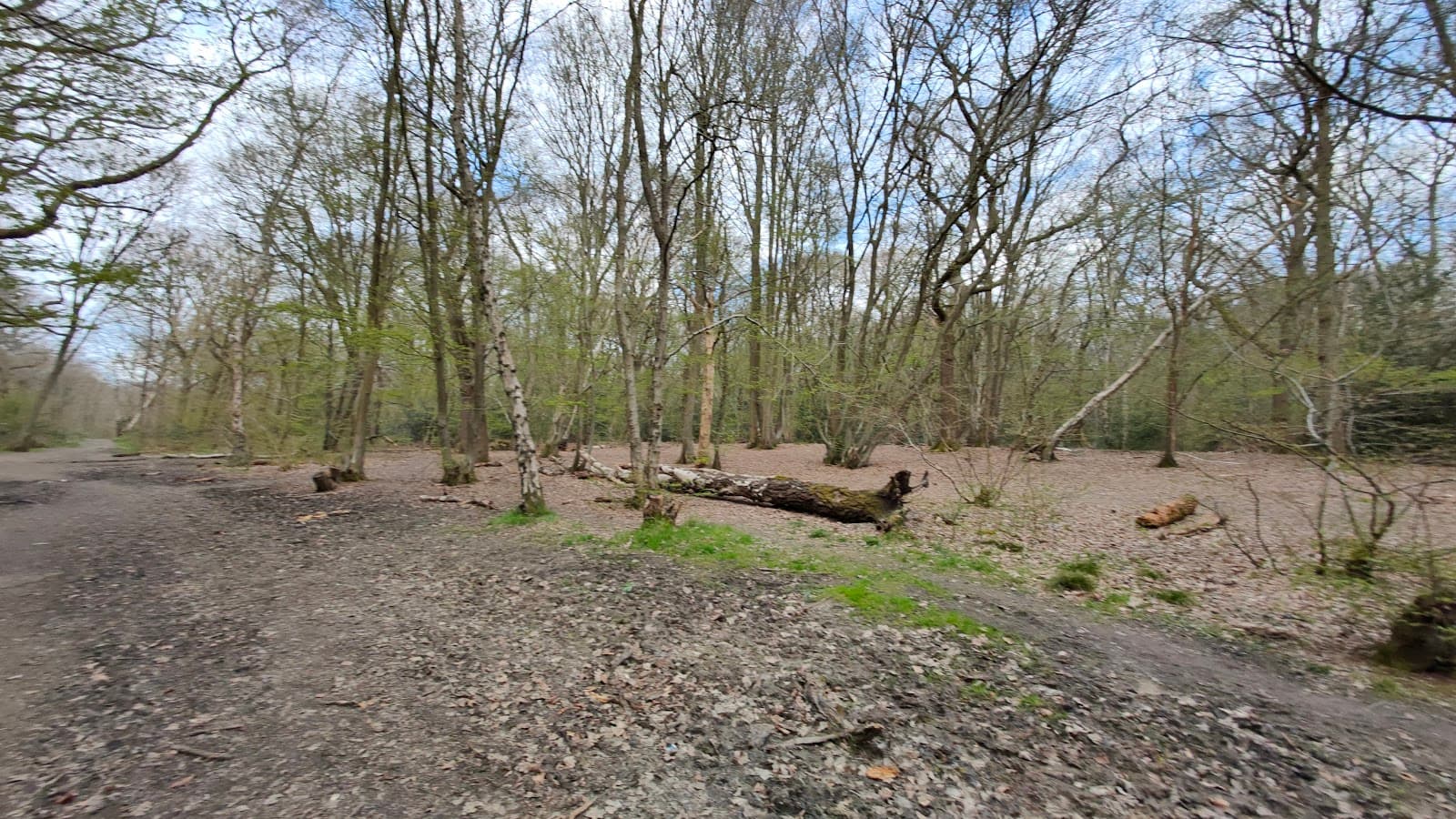 Ruislip Common - Image 1