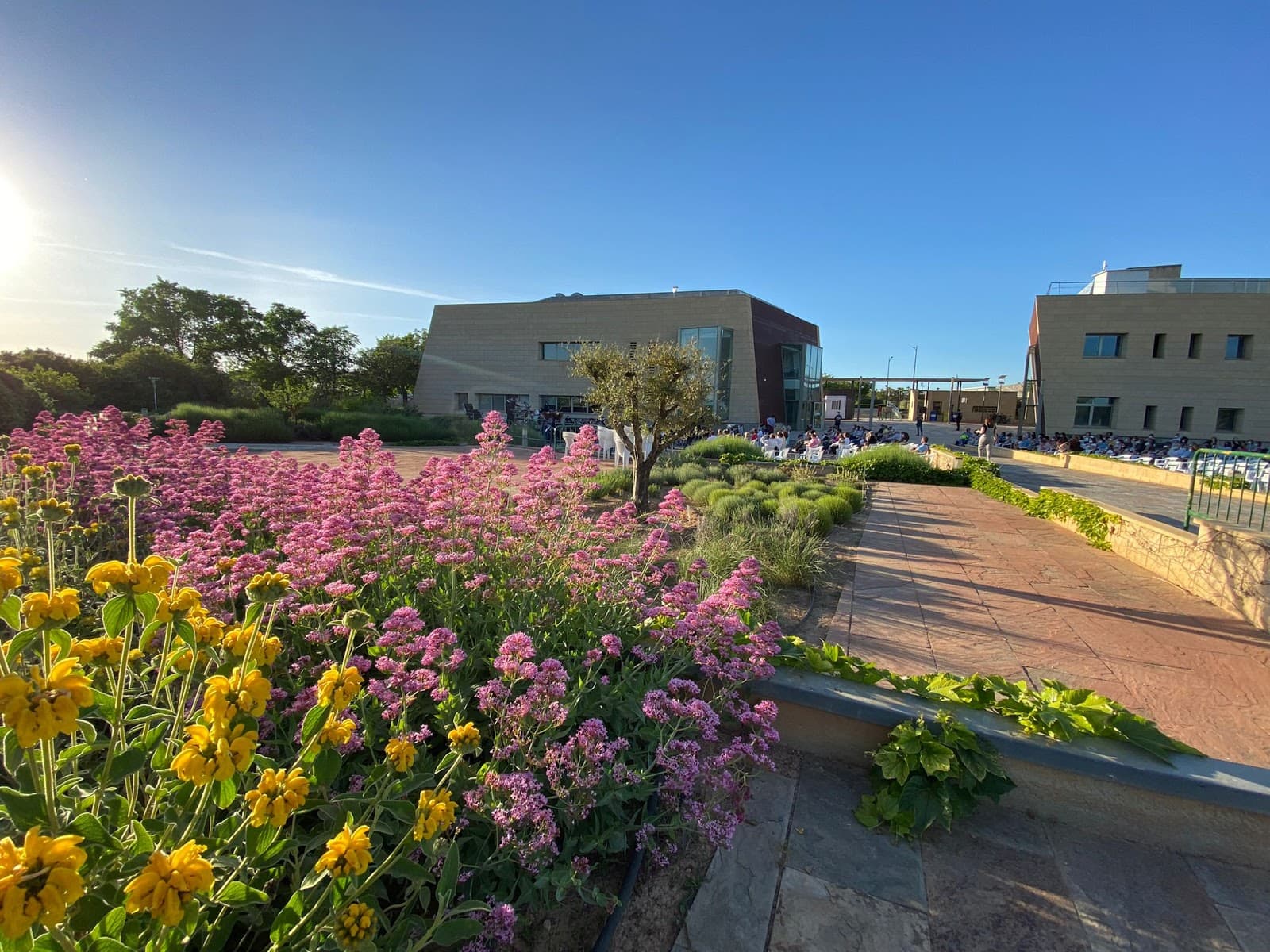 Jardín Botánico de Castilla-La Mancha Albacete - Image 1