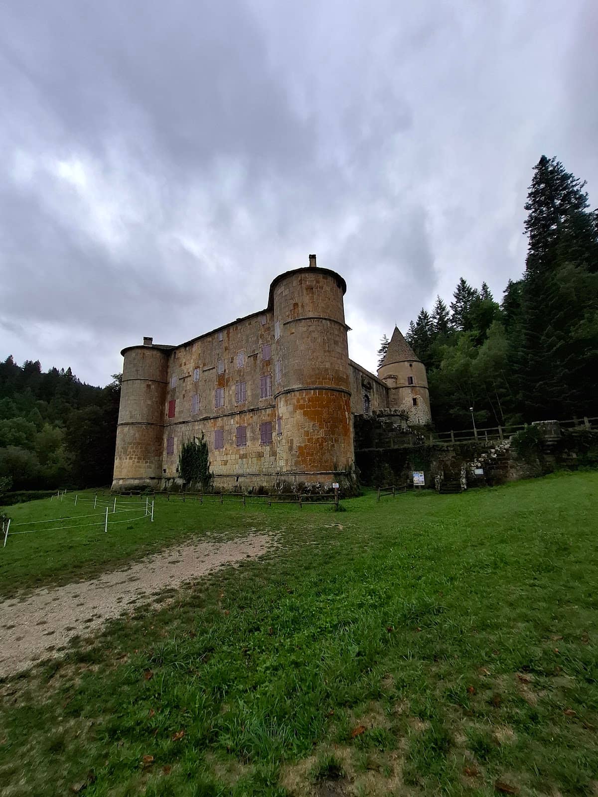 Surrounding Forest Walk