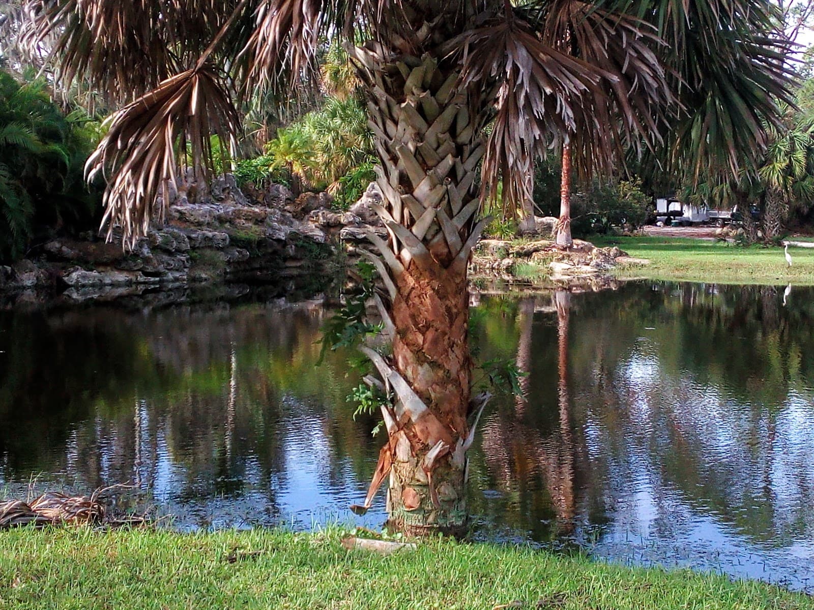 Venice Island - Image 1