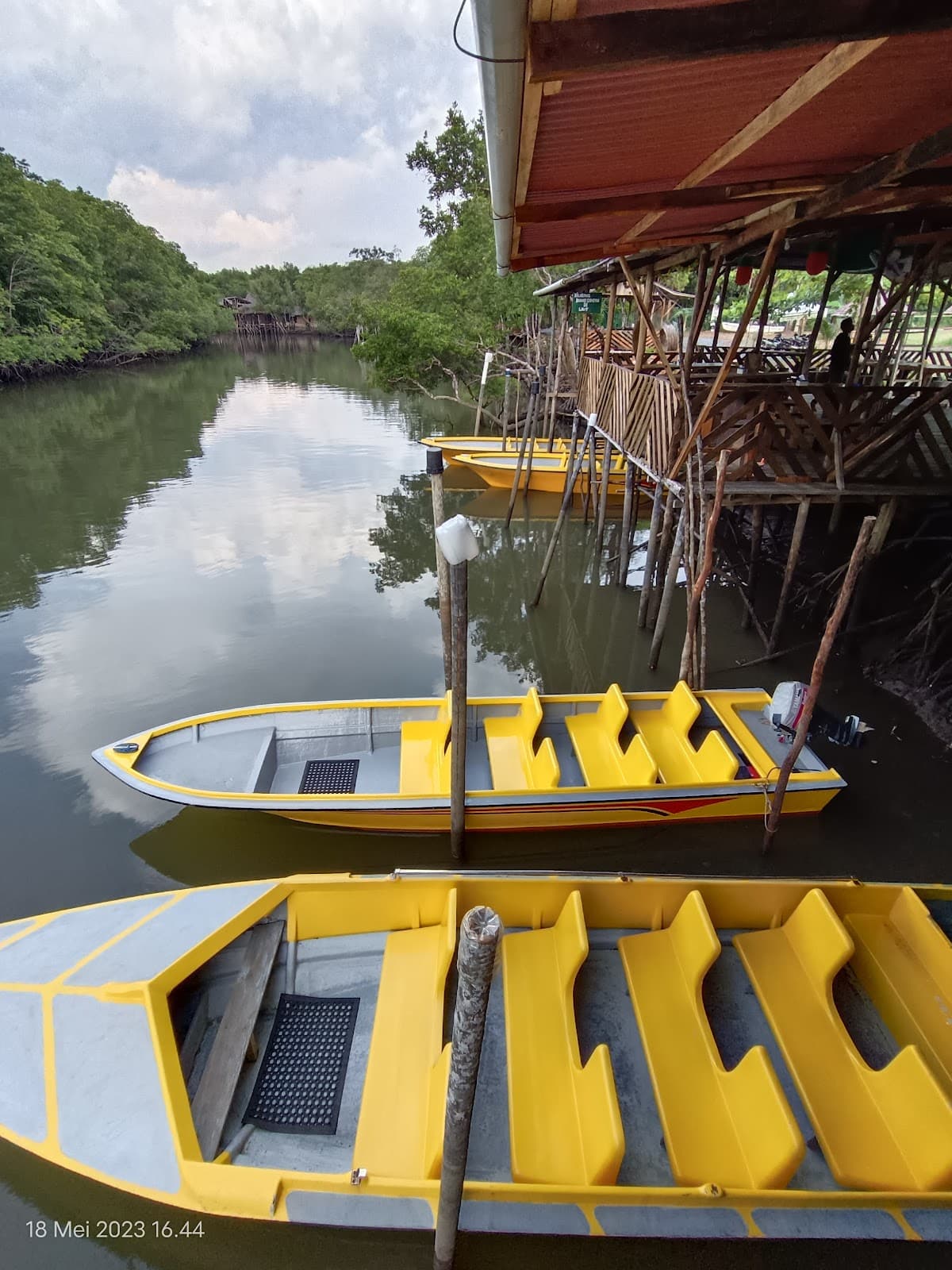 Sebung River Mangrove - Image 1