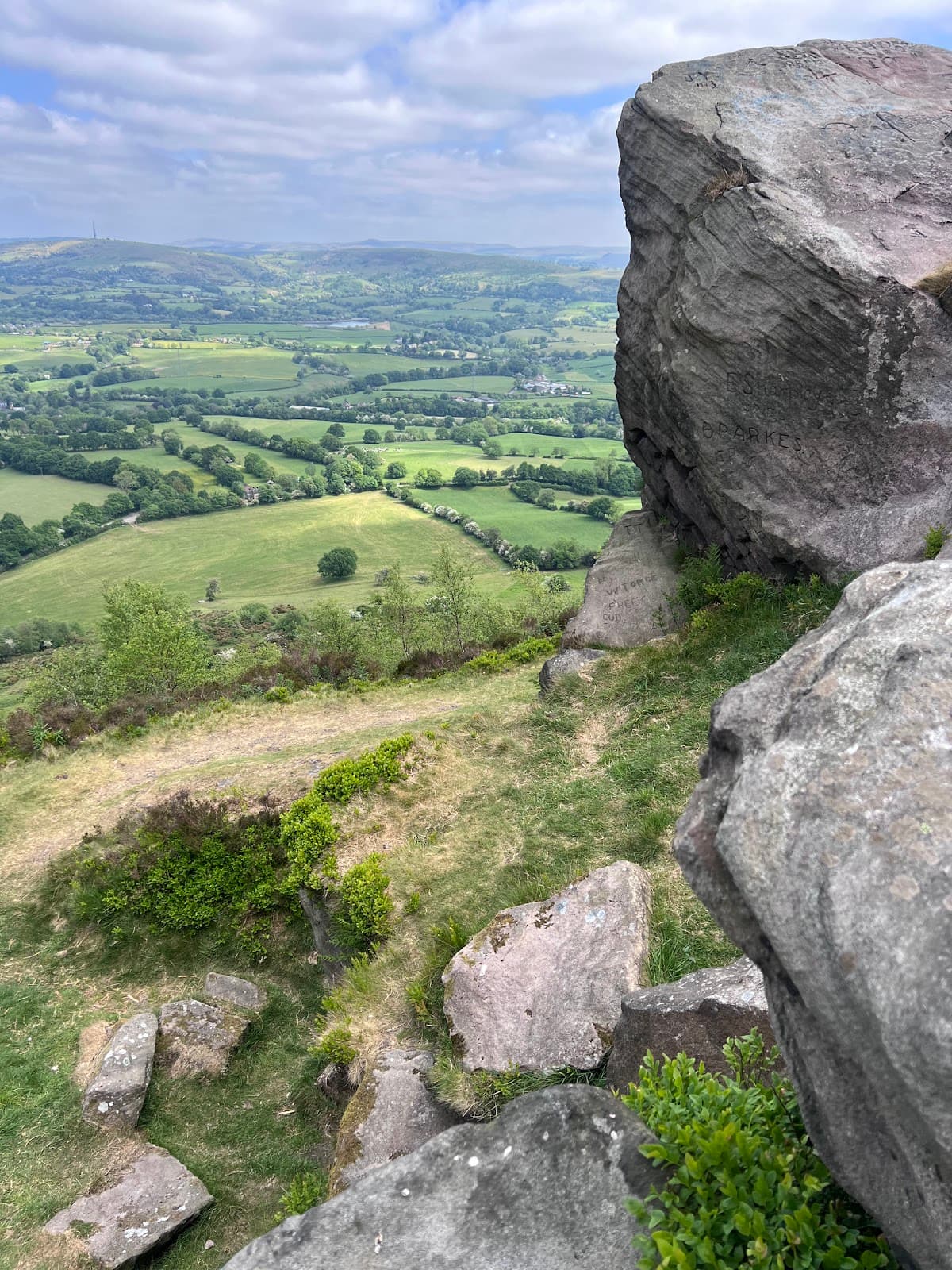 Bosley Cloud - Image 1