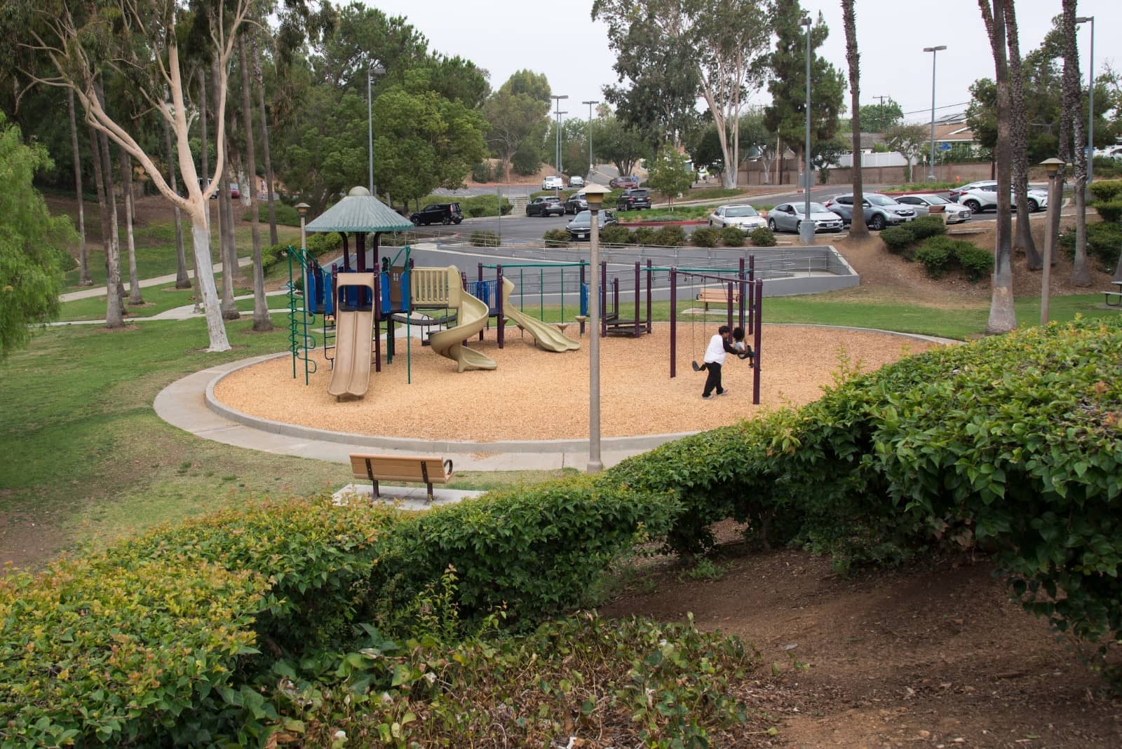 Scenic Walking Paths