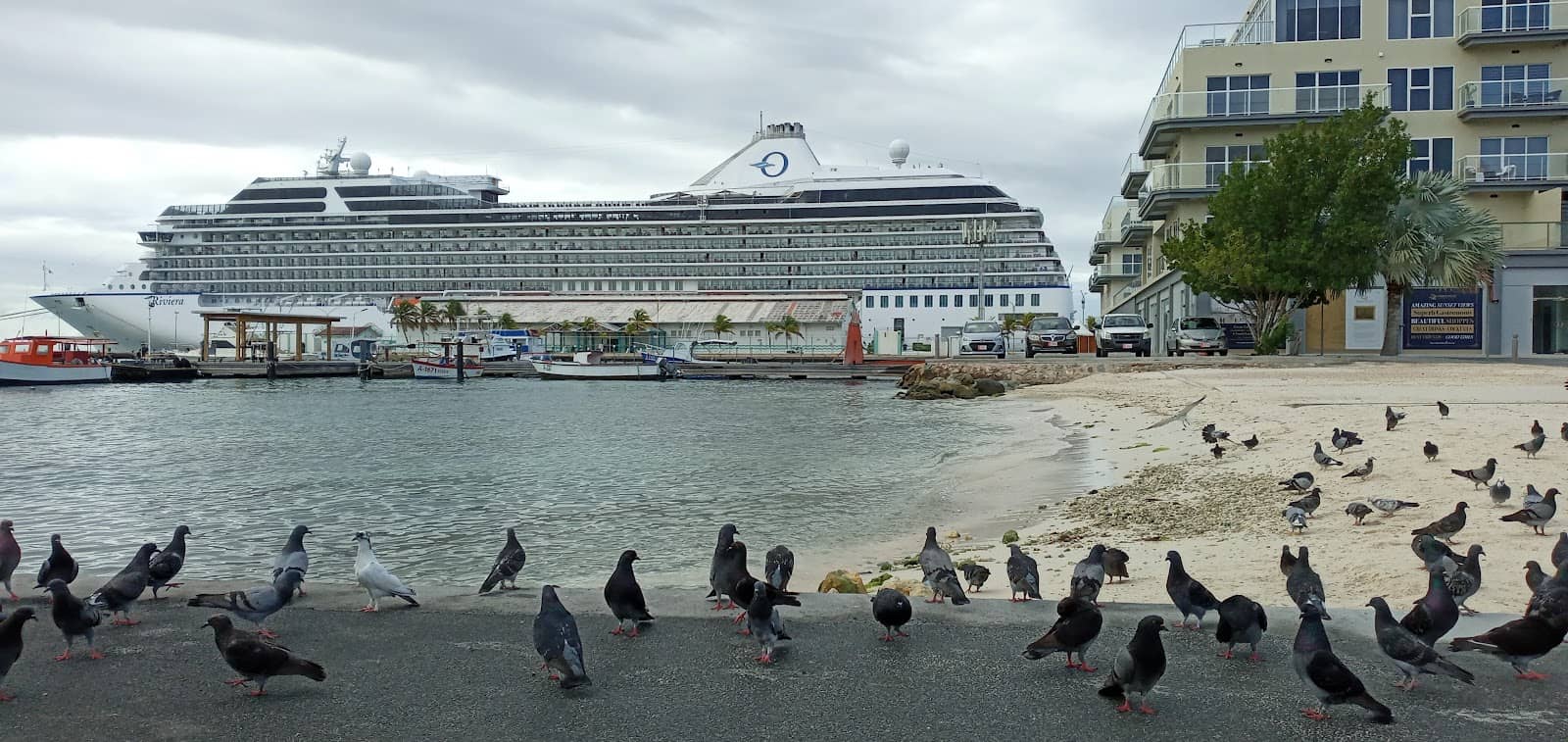 Oranjestad Trolley Tour