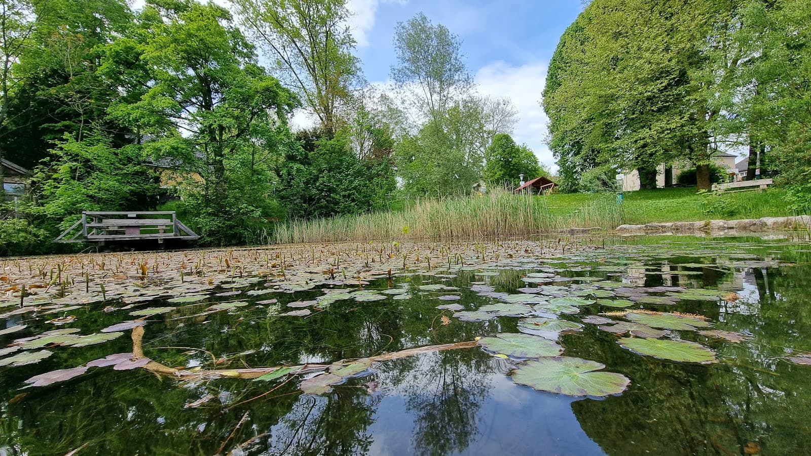 Schlosspark Edla - Image 1