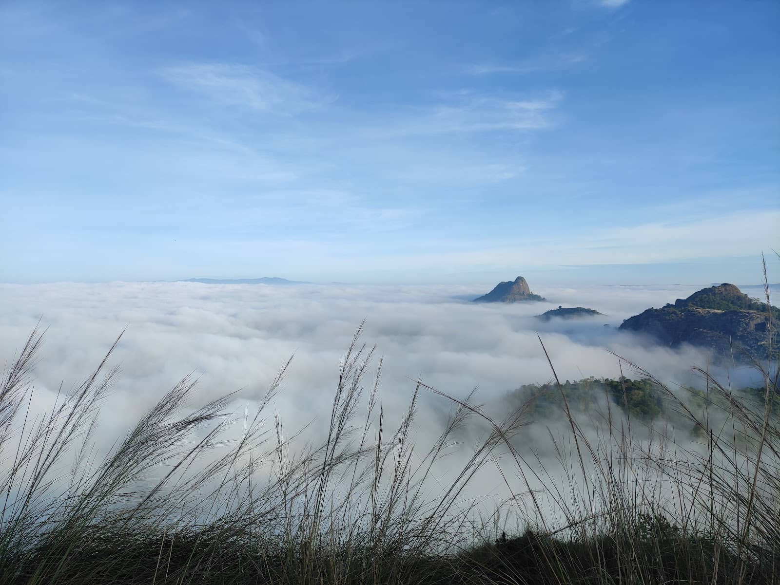 Peaceful Trekking Trail