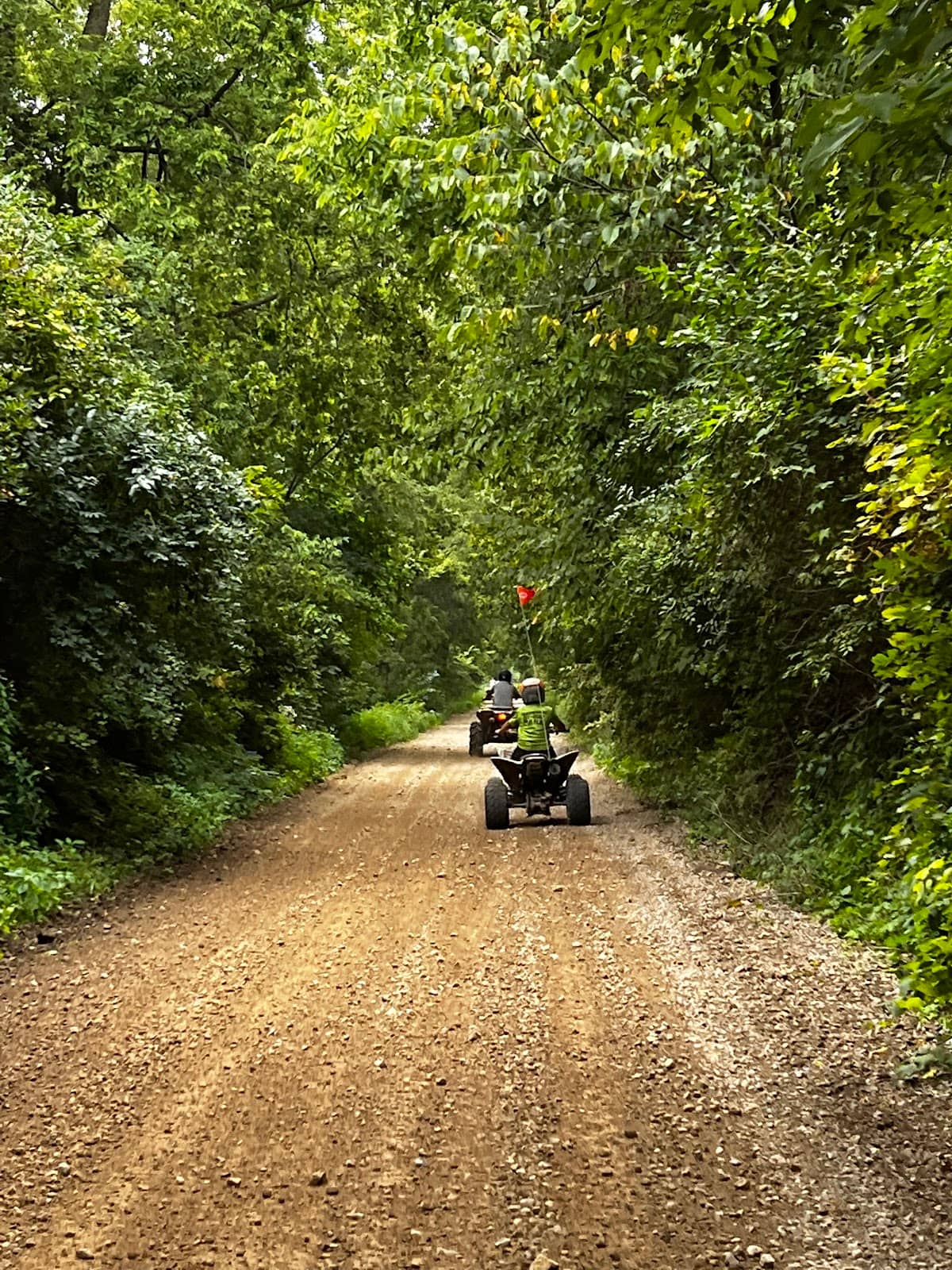 Family-Friendly Riding