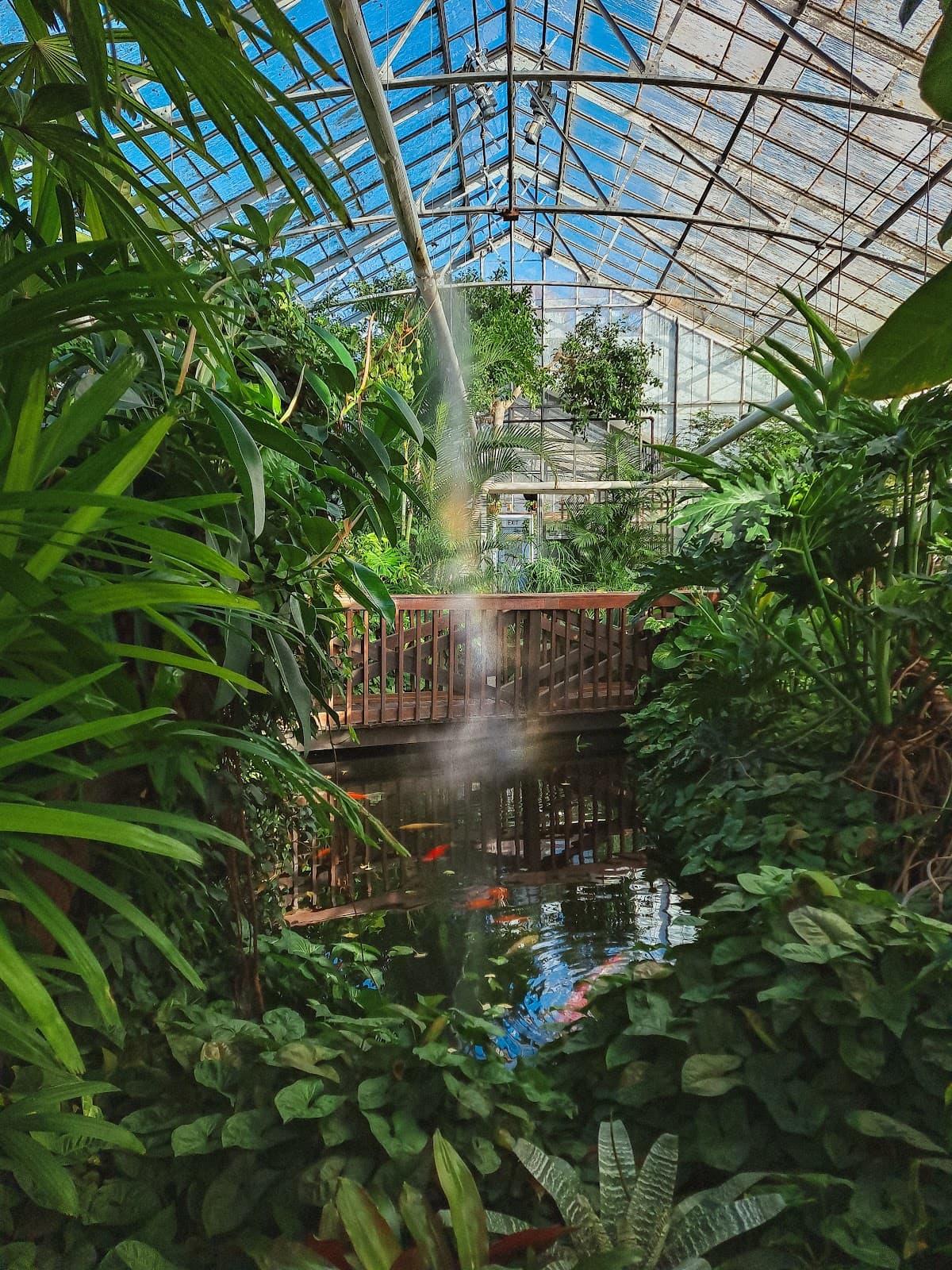 Durfee Conservatory (UMass) - Image 1