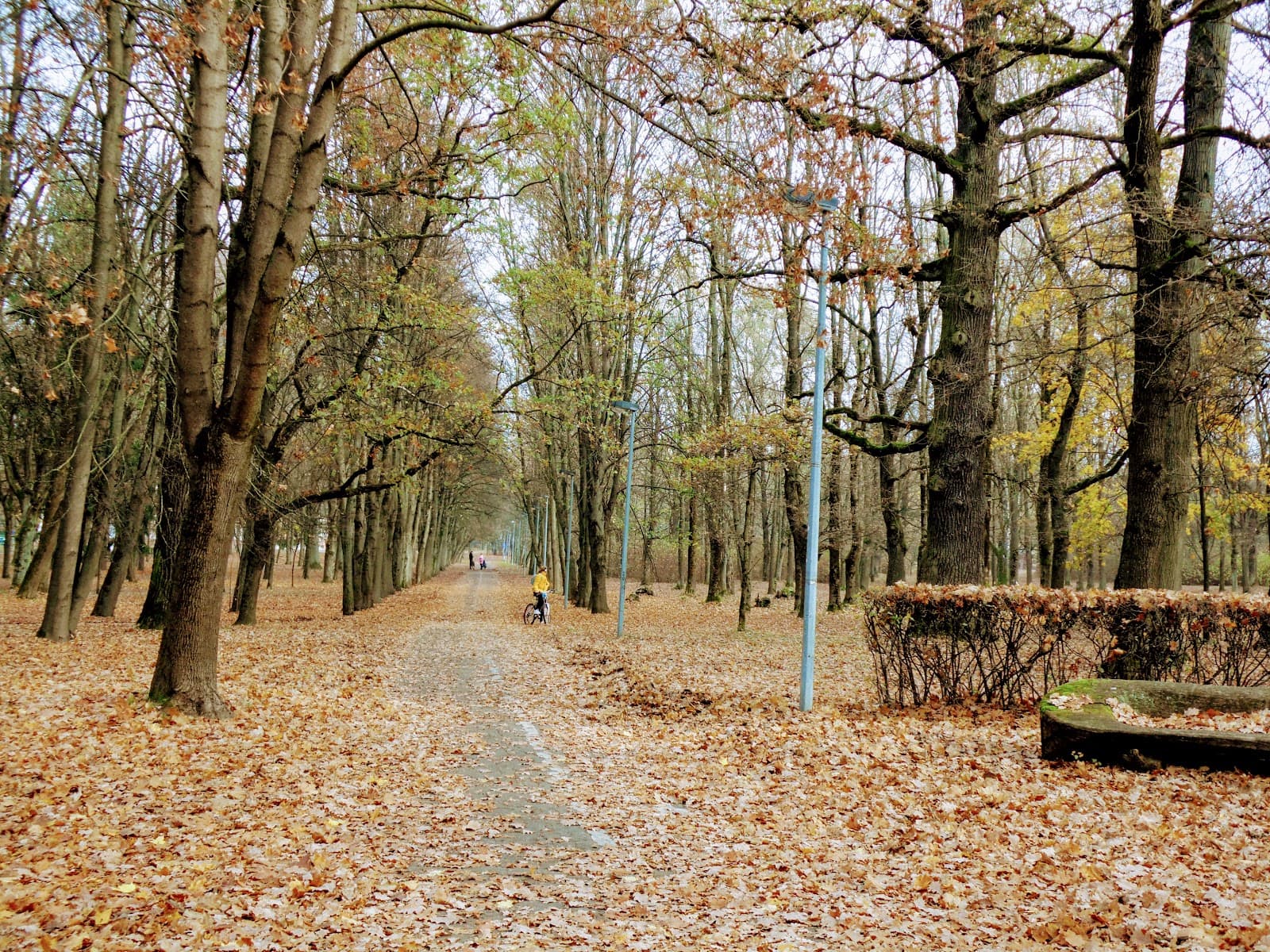 Ąžuolynas Park (Oak Park) - Image 1