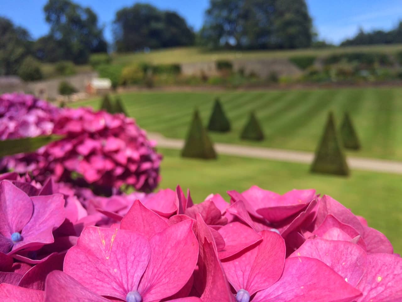 The Orangery & Tea Room