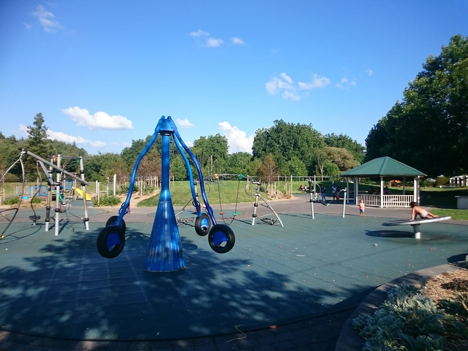 Claudelands Bush - Image 1