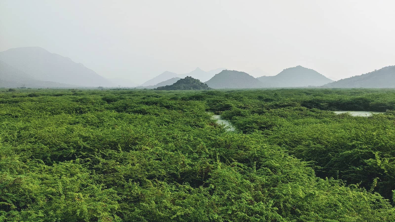 Potential Eco-Tourism Site