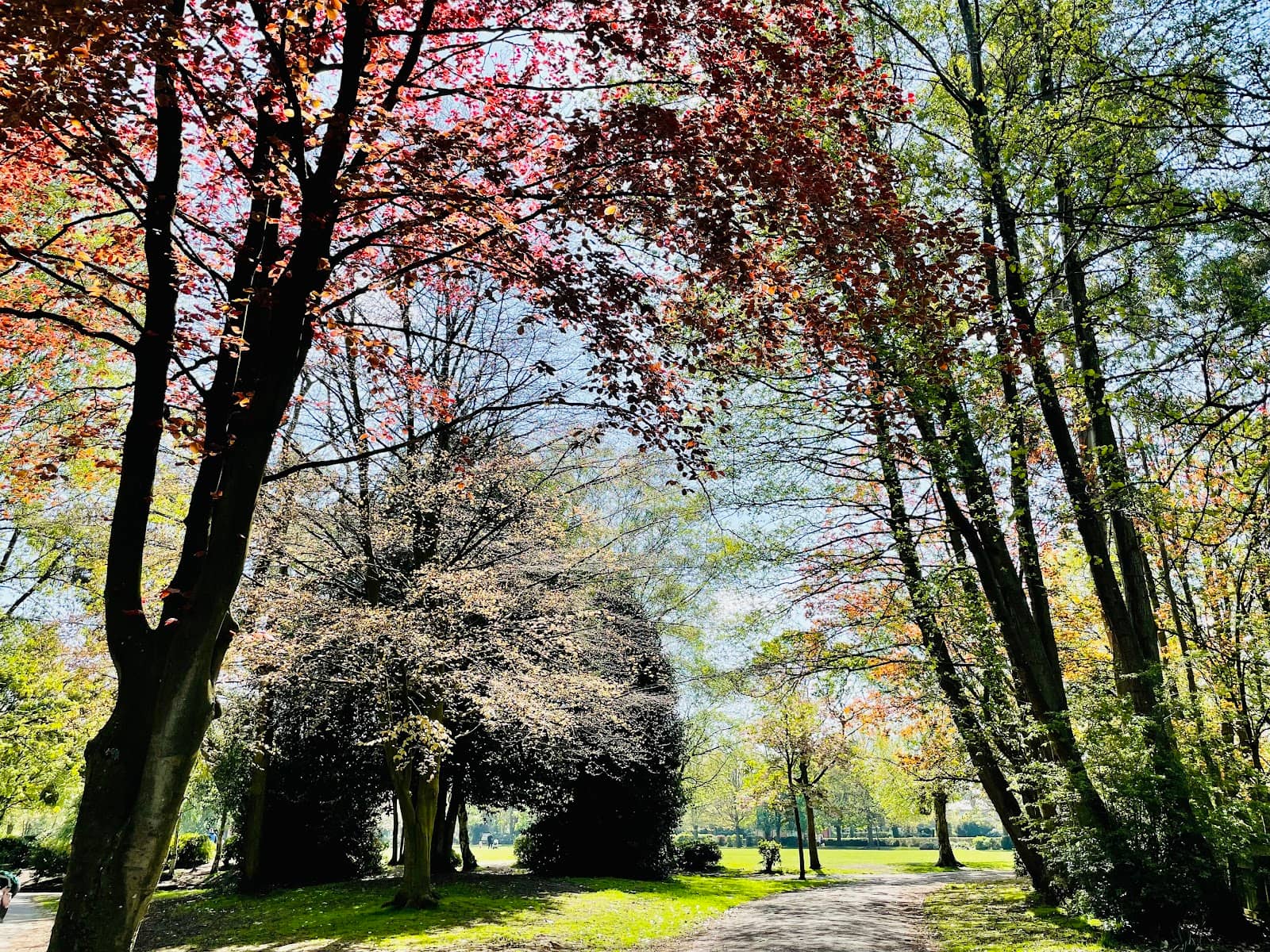 Seasonal Splash Zone