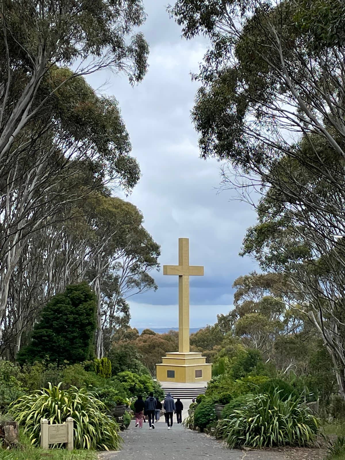 Camels Hump Viewing Platform