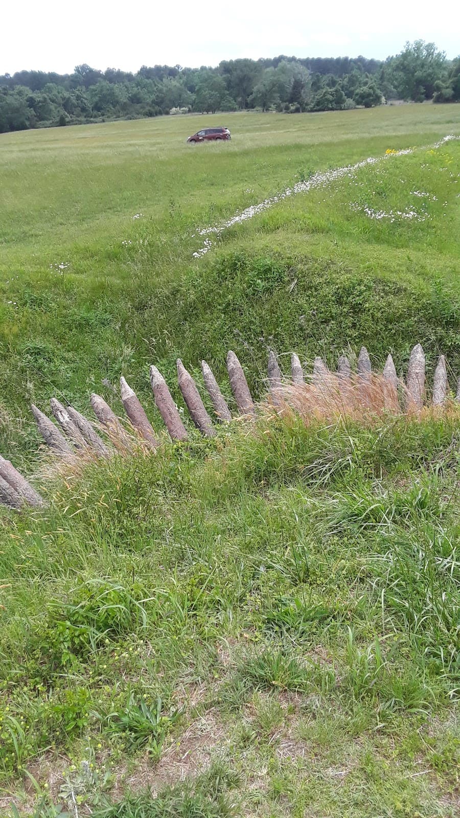 Redoubts 9 and 10 - Image 1