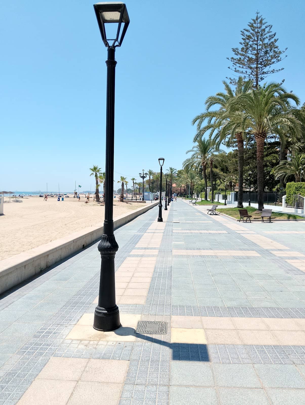 Family-Friendly Atmosphere