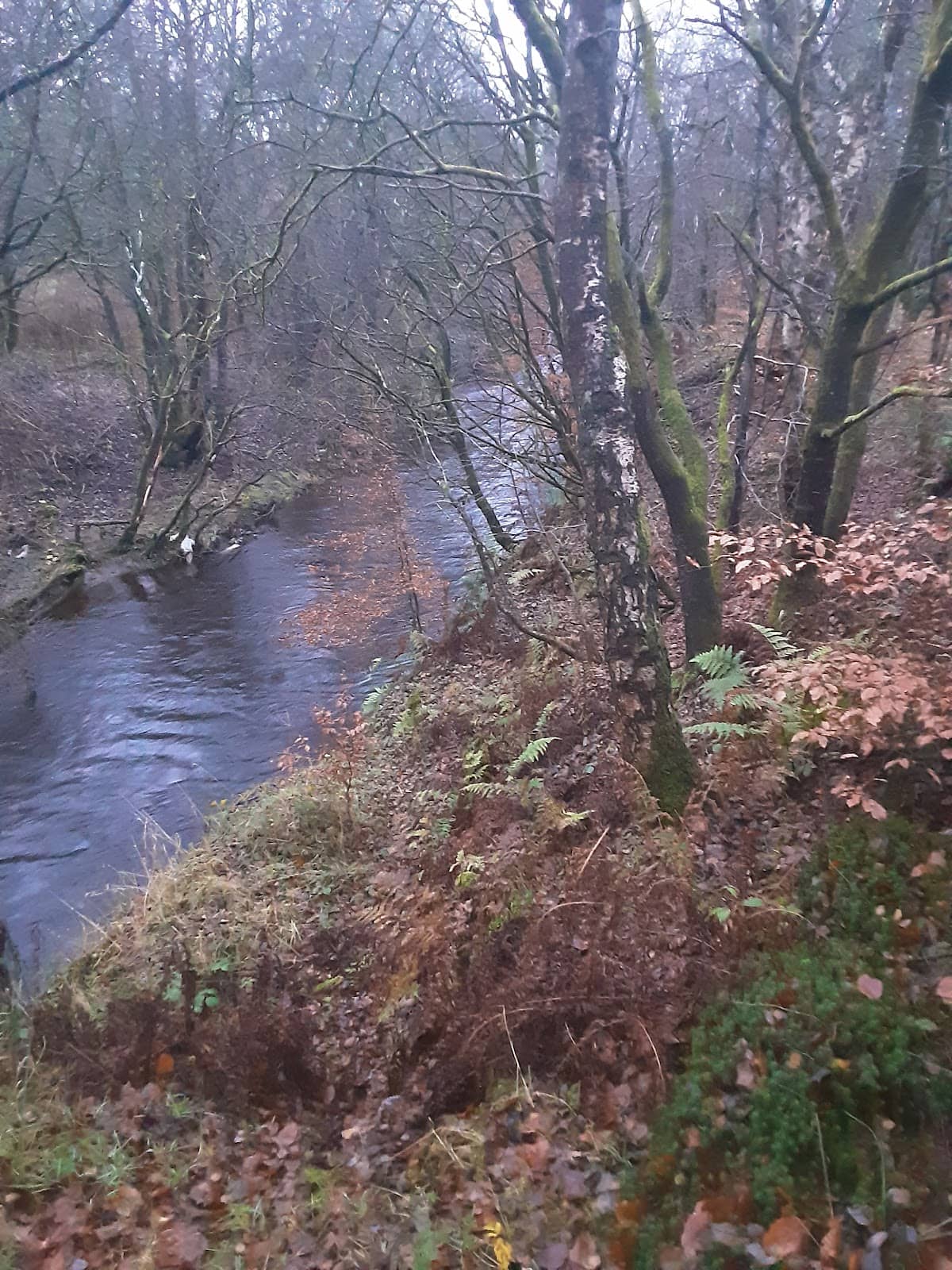 Scenic Walking Route