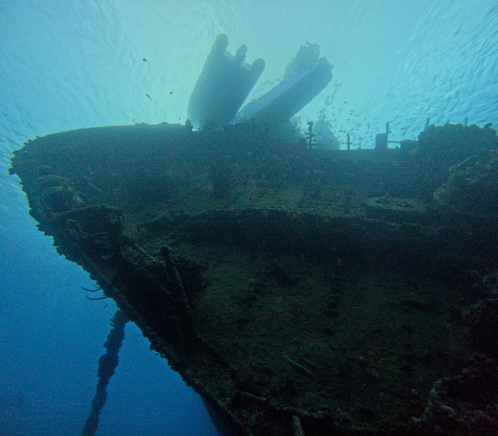 Antilla Shipwreck - Image 1