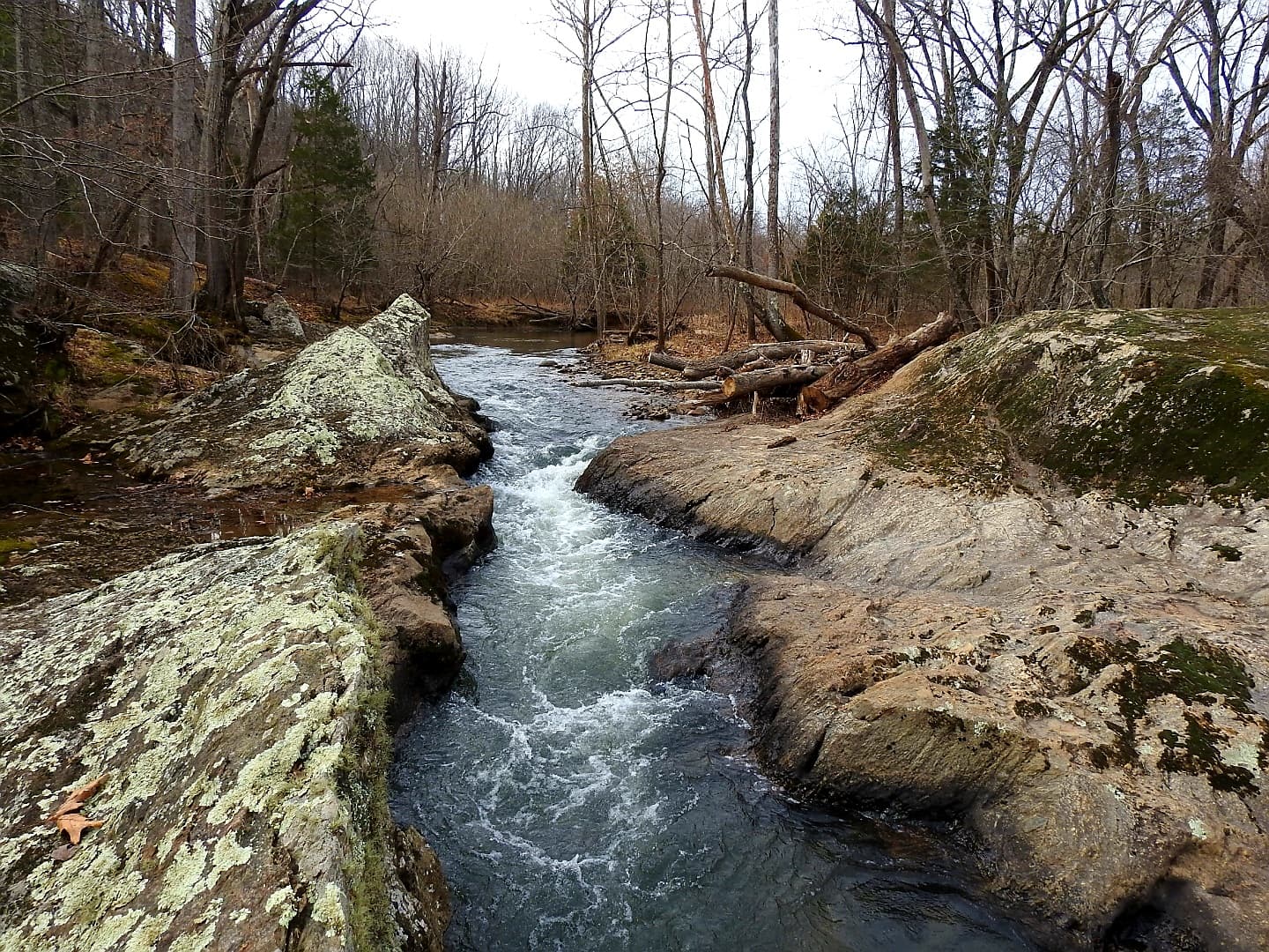 Claytor Nature Center & Belk Observatory - Image 1
