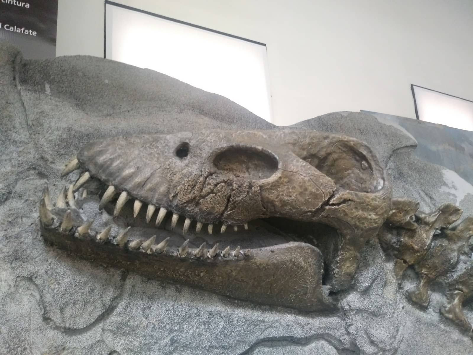 Historical House Ambiance