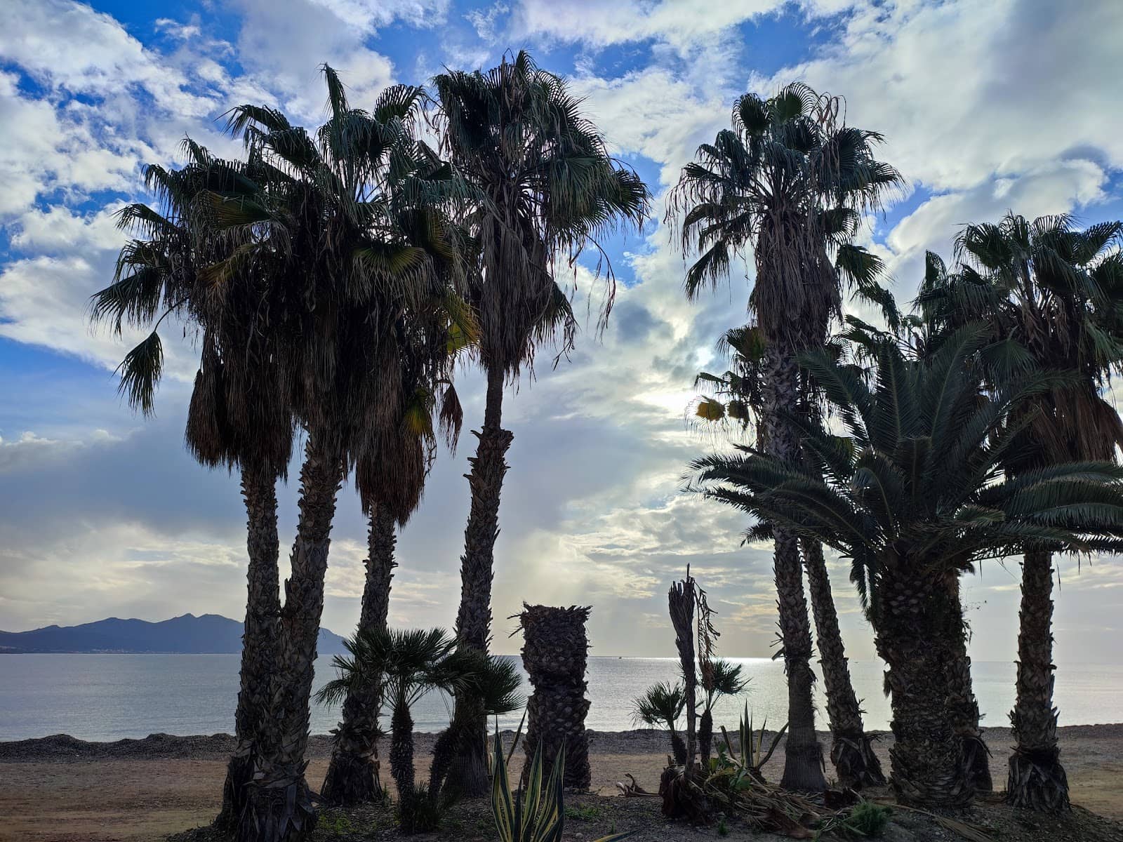 Recreational Sports Areas