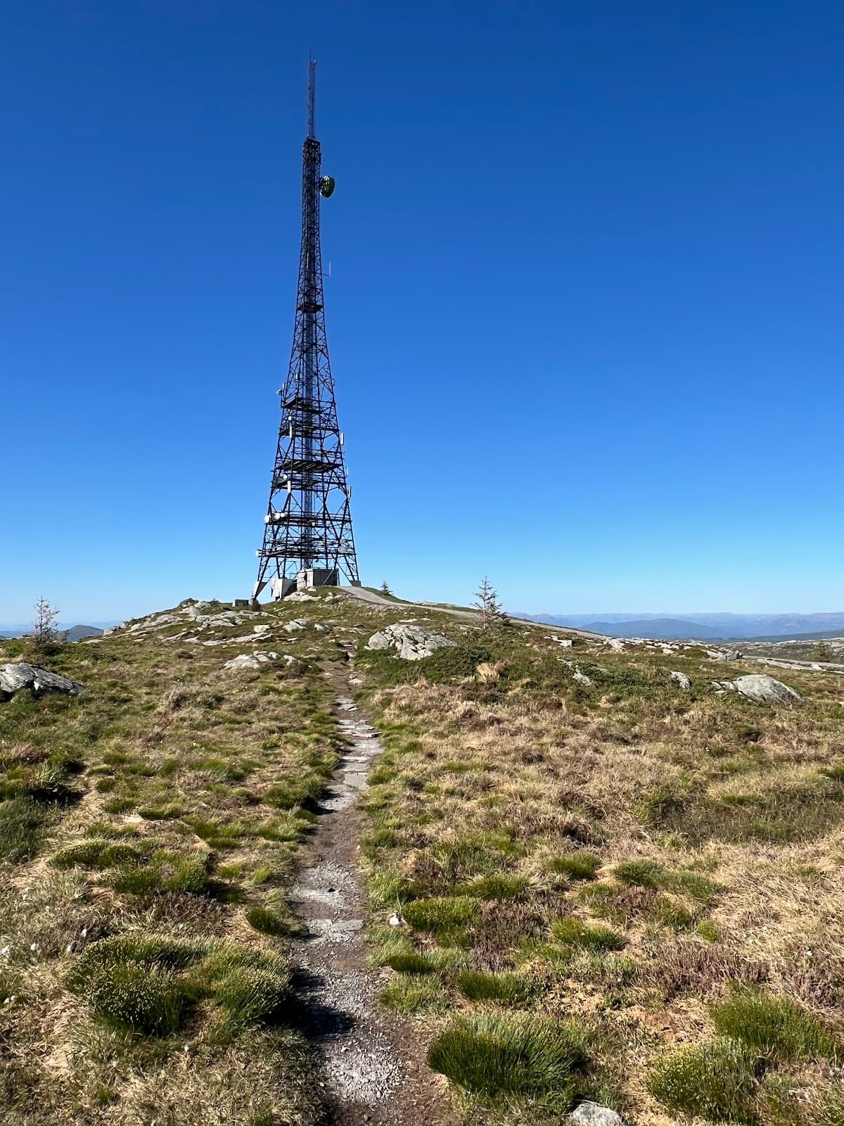 Rundemanen - Image 1