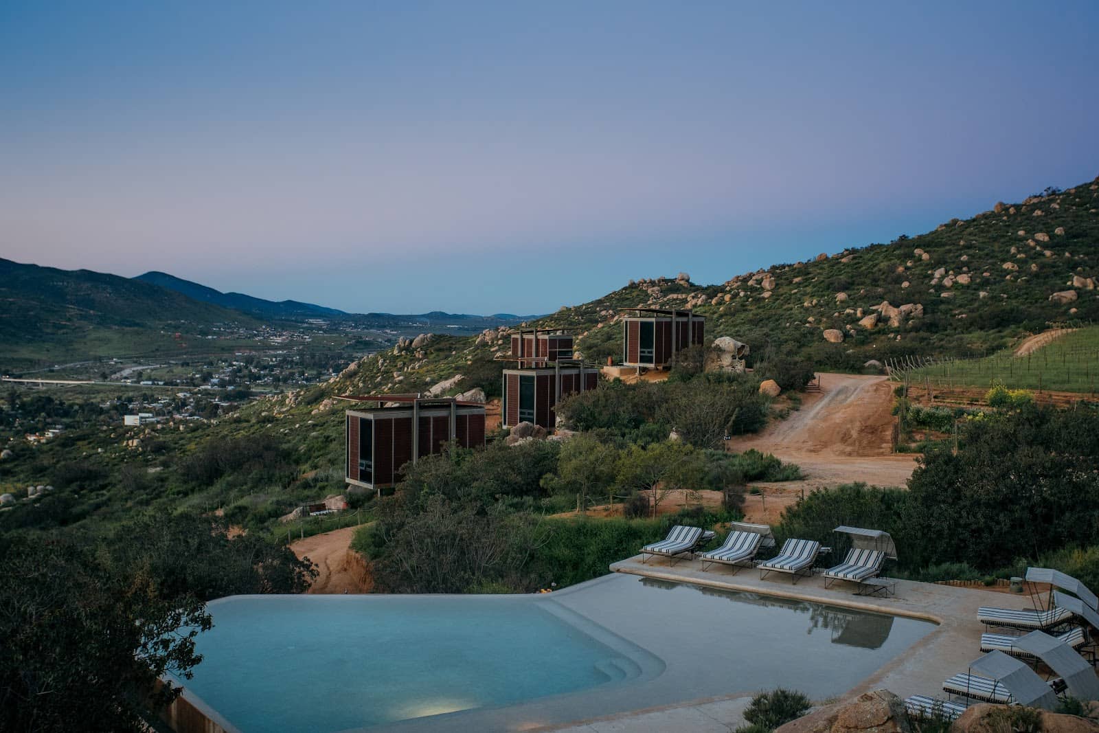 Vineyard and Canyon Views