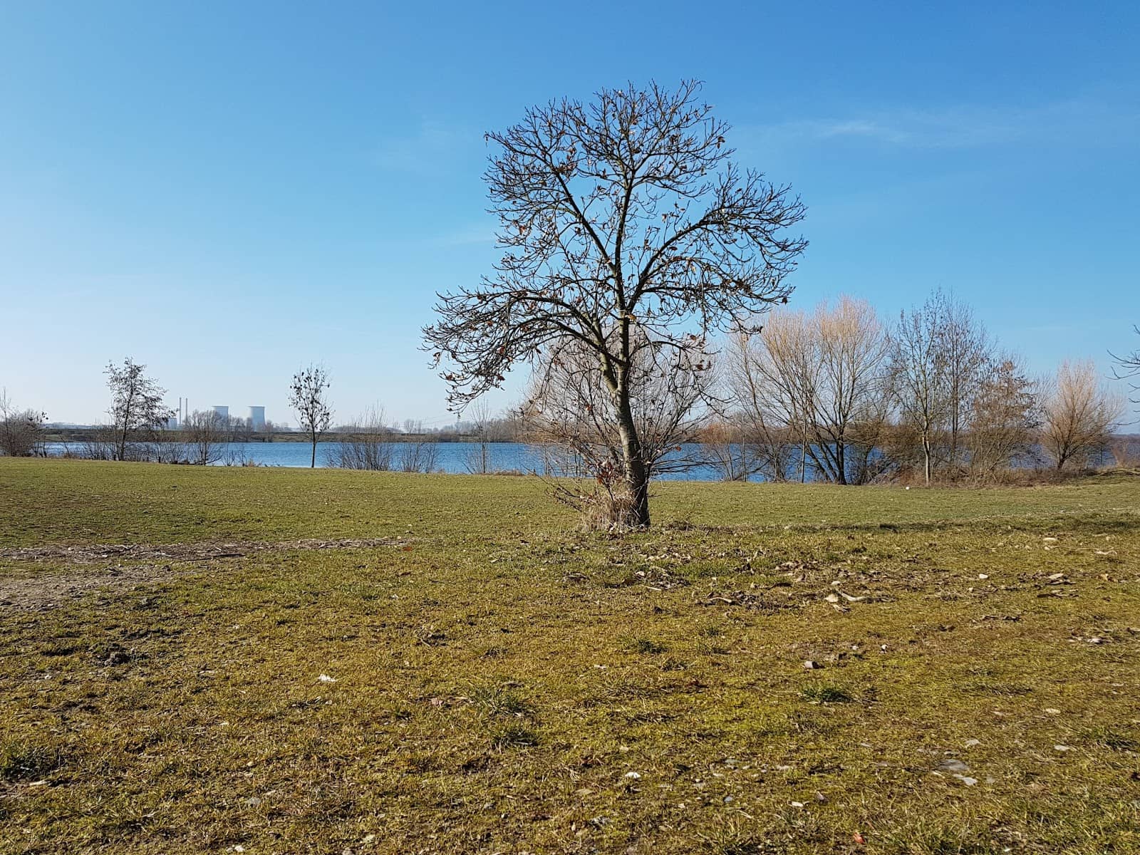 Herten City Park (Stadtpark Herten)