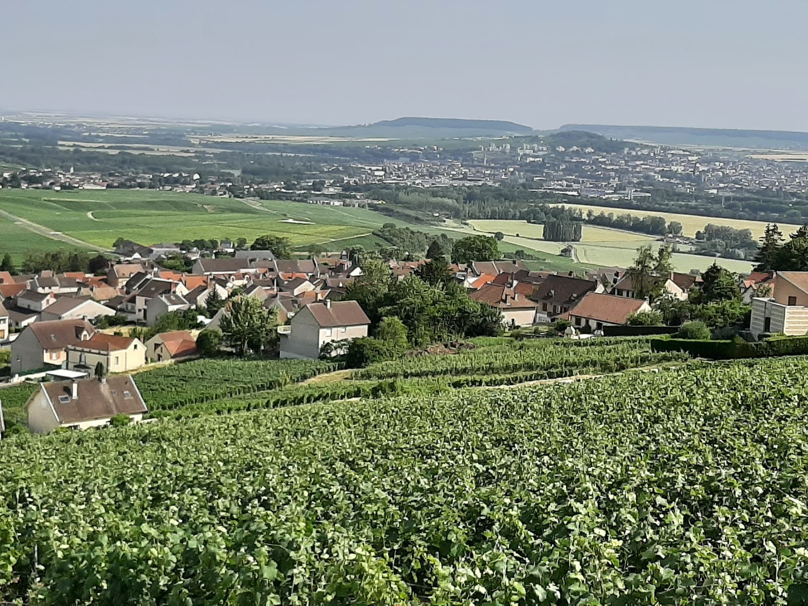 Hautvillers vineyards (UNESCO Champagne Hillsides) - Image 1
