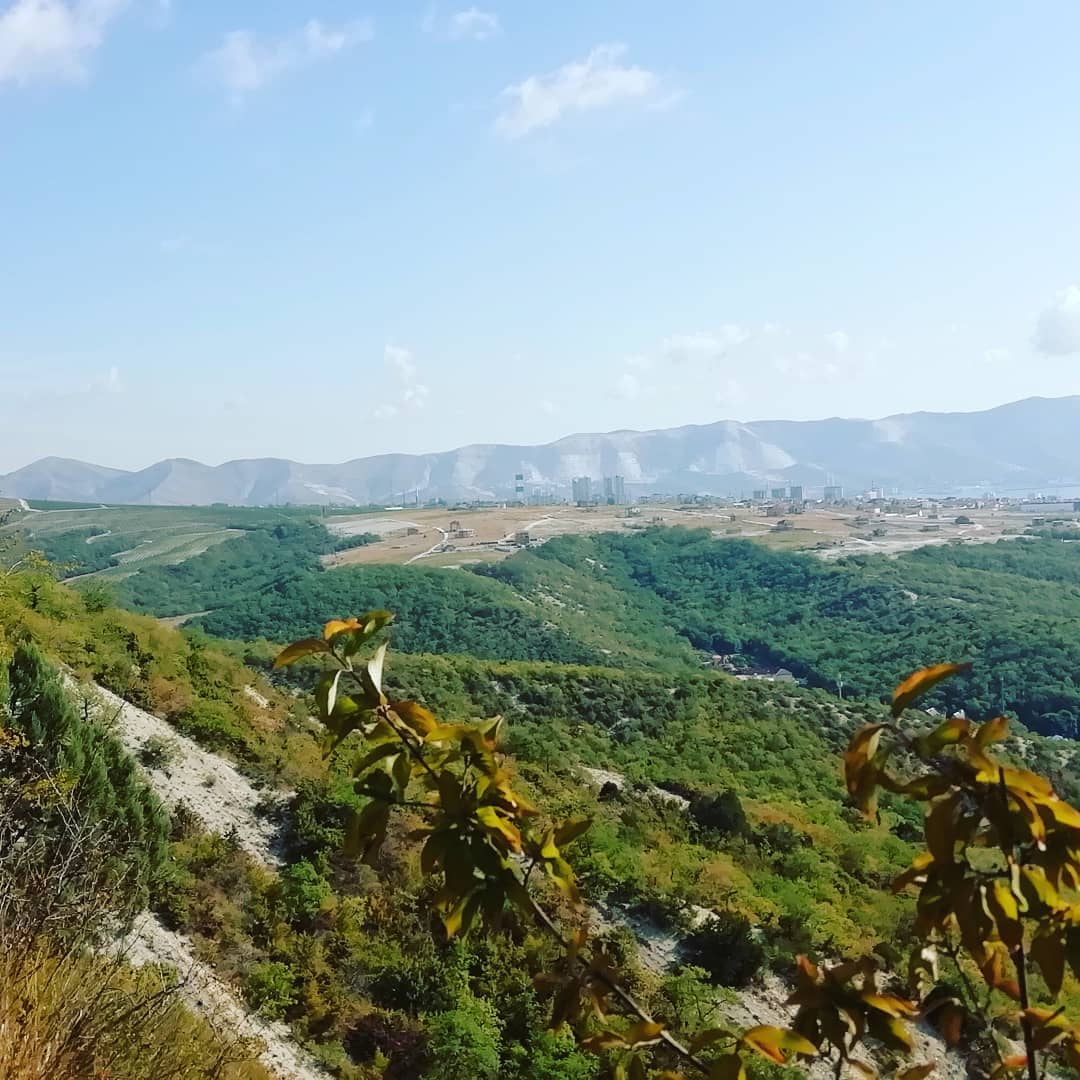 Vineyard Exploration