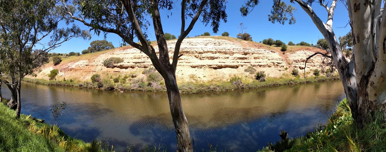 Varvy Wines Cellar Door