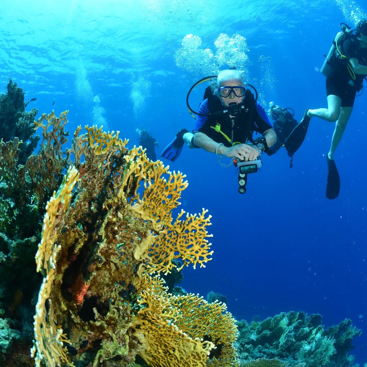 Near Garden Dive - Image 1